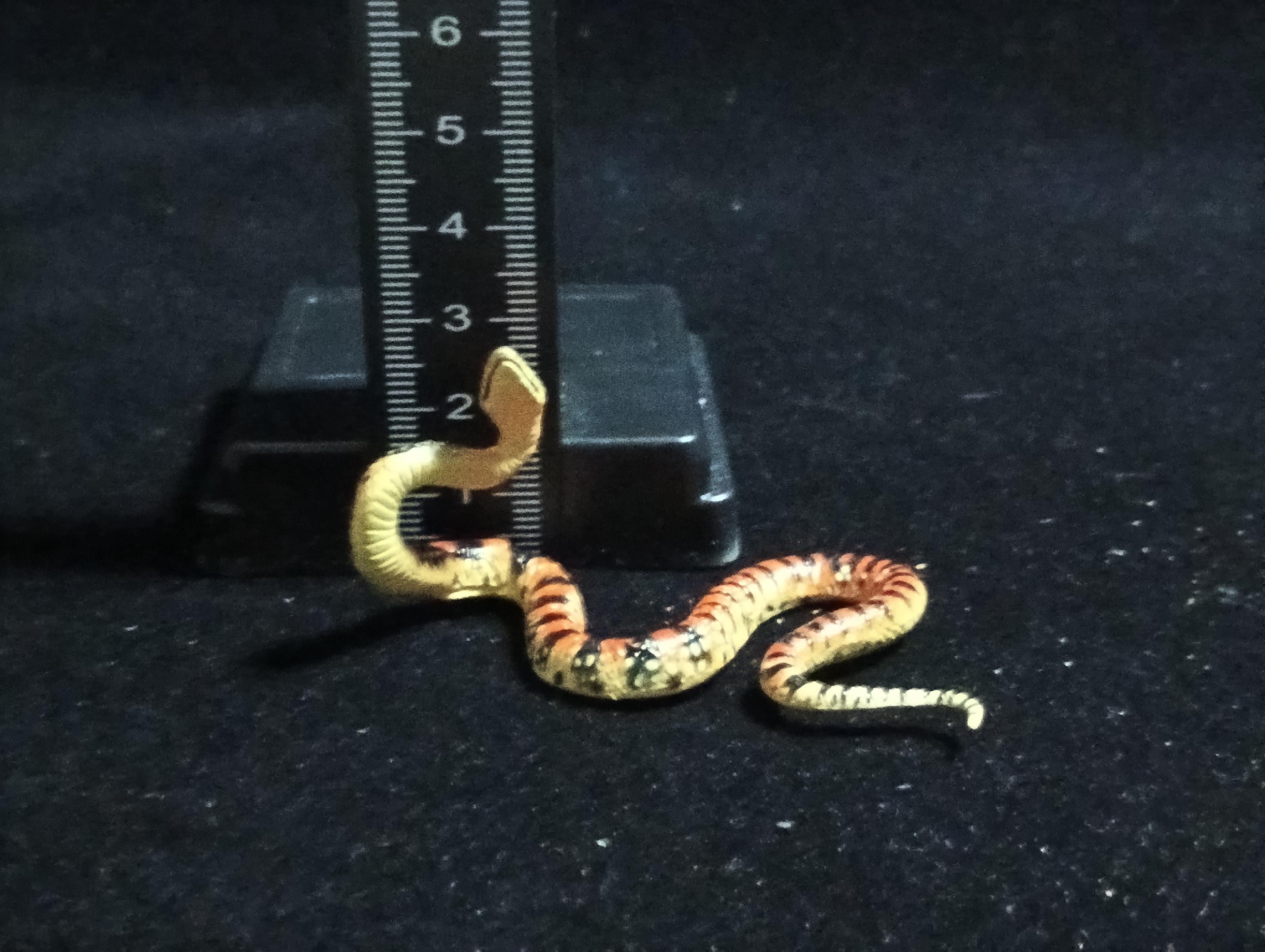 Kaiyodo ChocoQ Animatales Series 6 Loo-choo big-tooth snake (Dinodon semicarinatum)