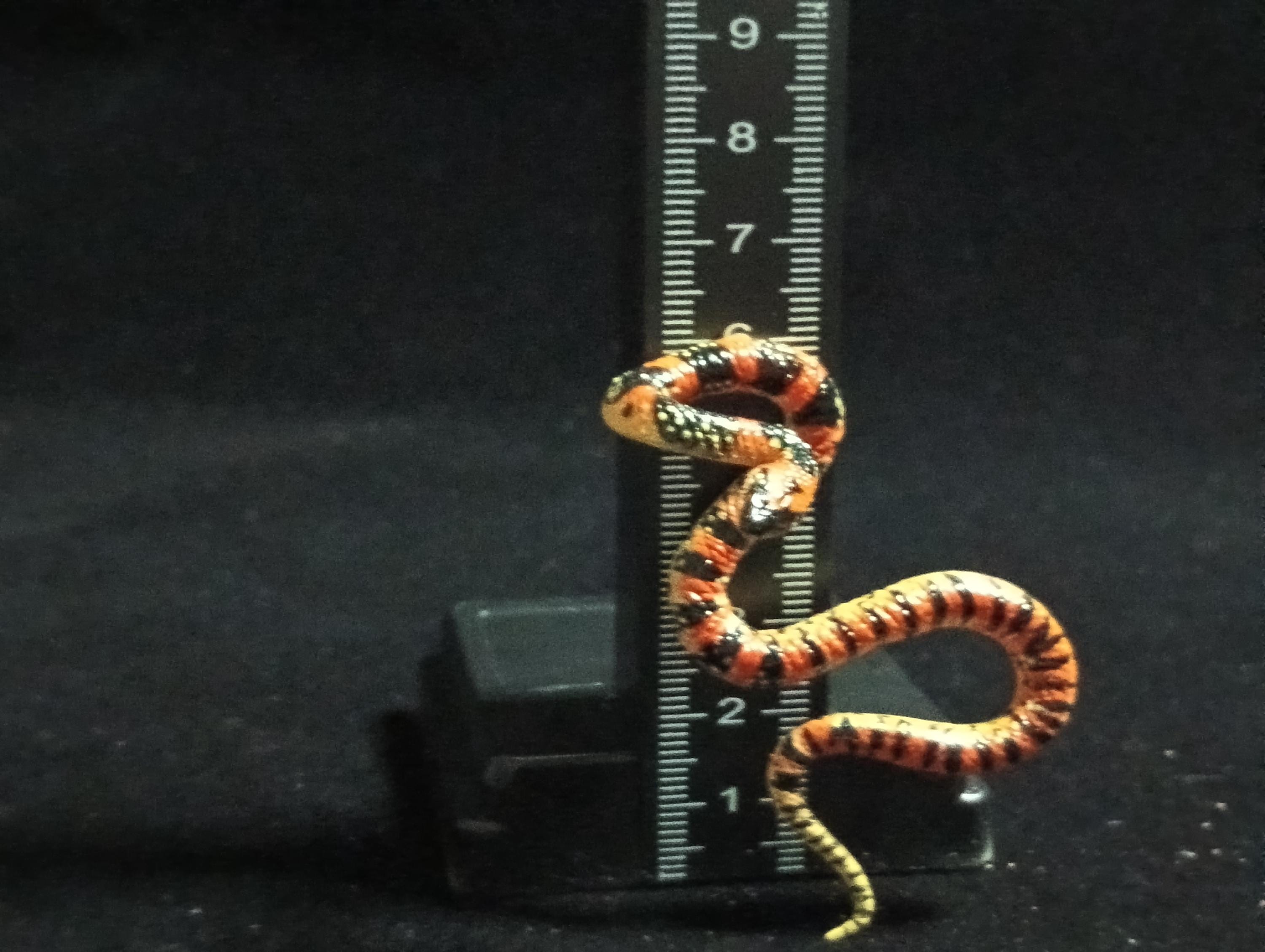 Kaiyodo ChocoQ Animatales Series 6 Loo-choo big-tooth snake (Dinodon semicarinatum)