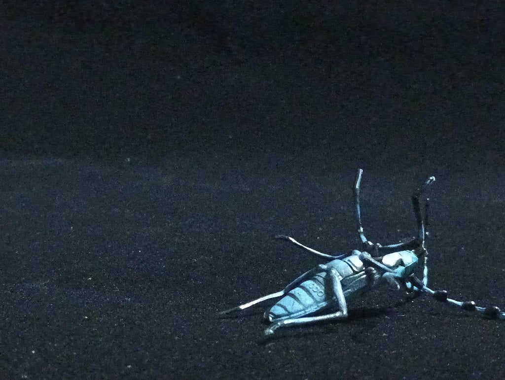 Miniature Blue spotted longhorn beetle Figurine - Furuta