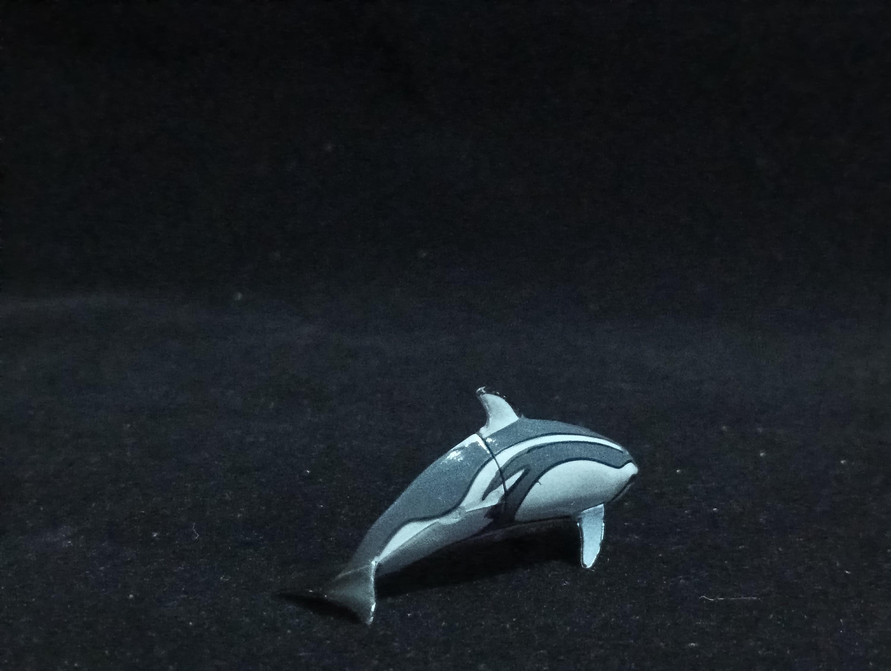 Miniature Pacific White-sided Dolphin Figurine - Furuta