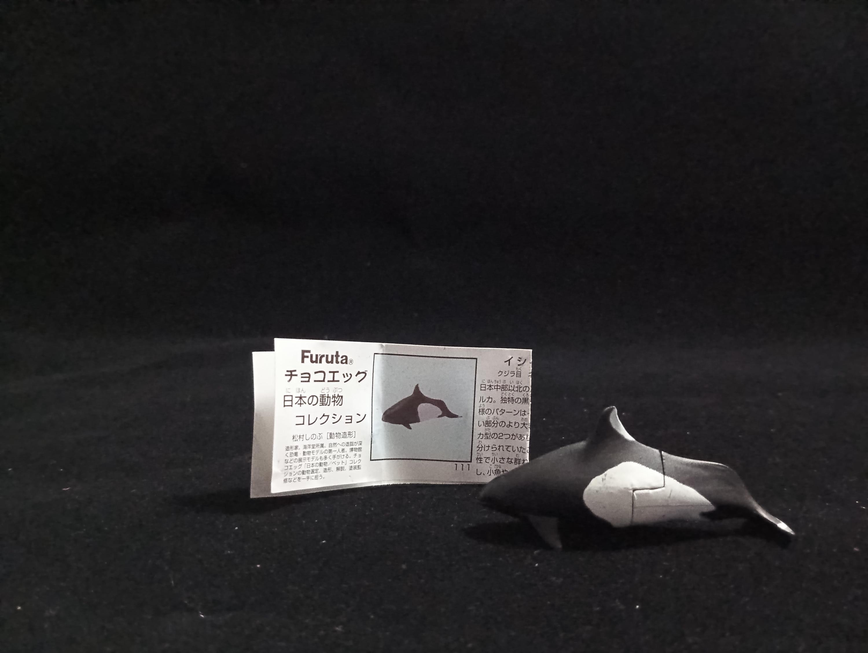 Miniature Pacific White-sided Dolphin Figurine - Furuta