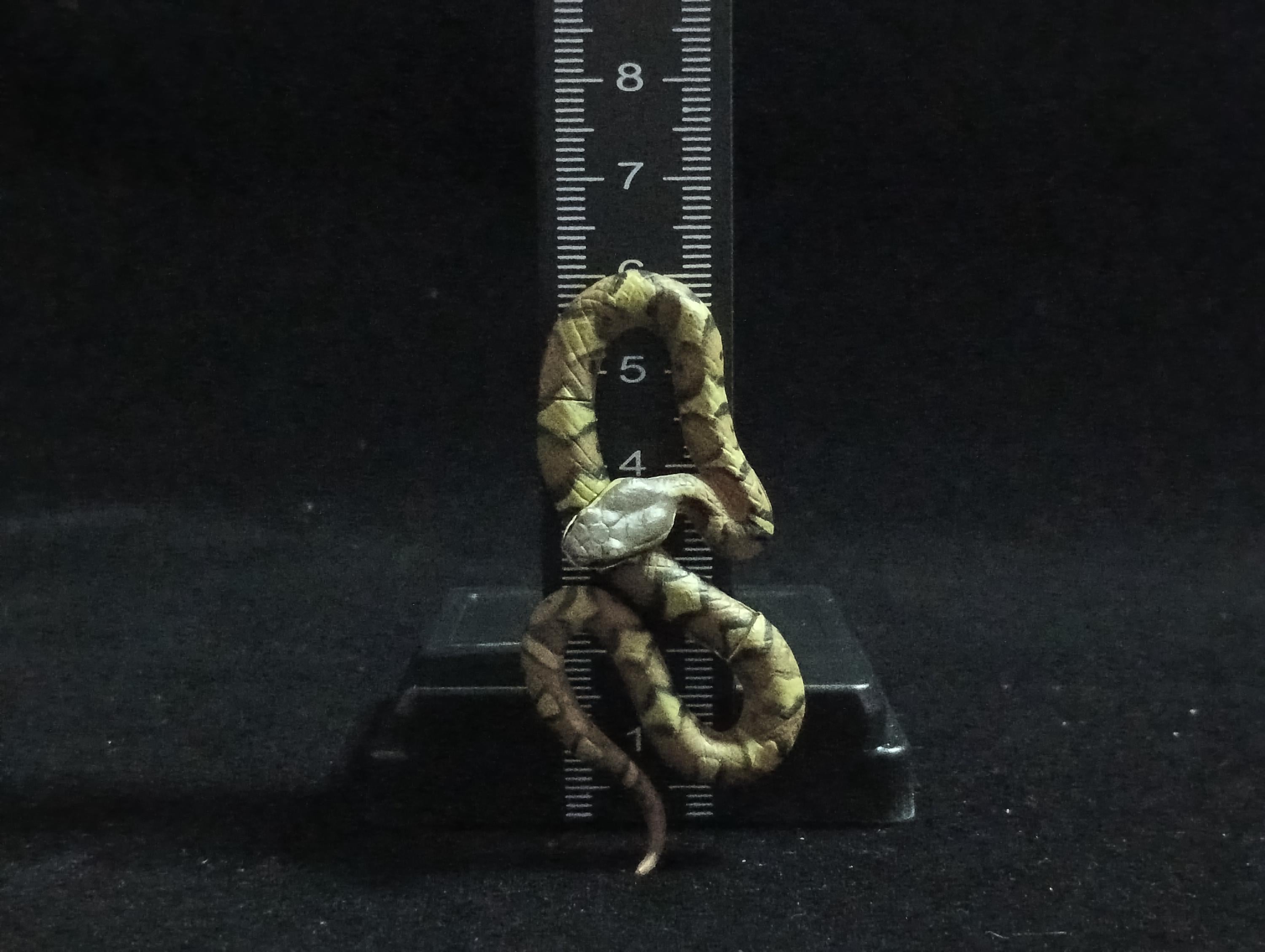 Miniature Snake Figurine - Furuta
