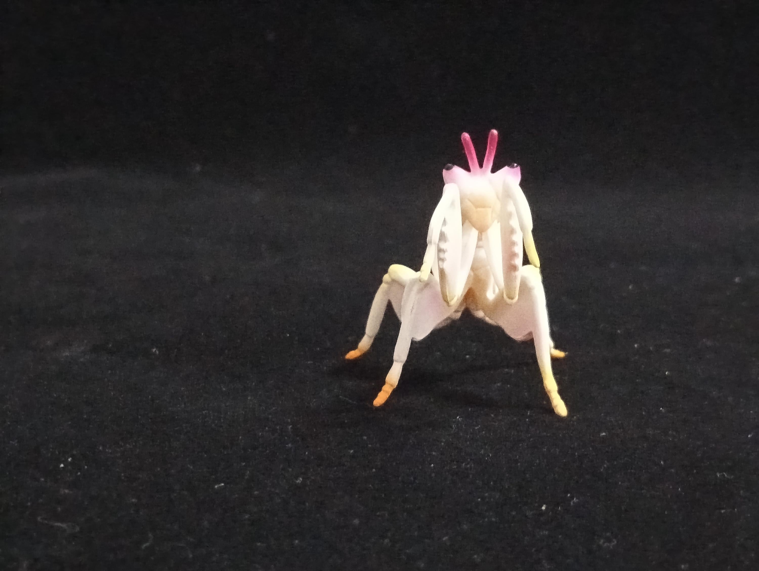 Miniature Hymenopus coronatus Figurine - Furuta