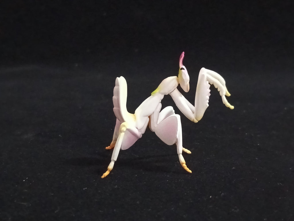 Miniature Hymenopus coronatus Figurine - Furuta