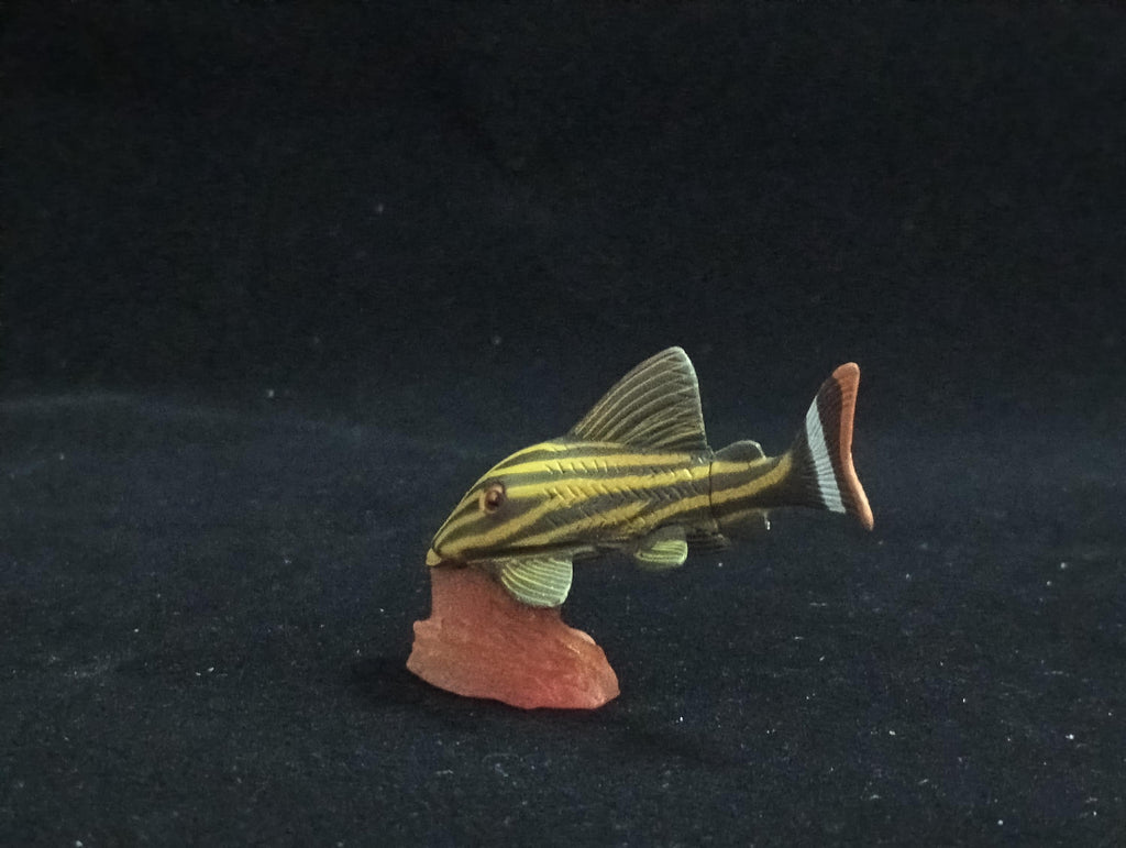Miniature Chorydoras Sucker Fish Figurine - Furuta