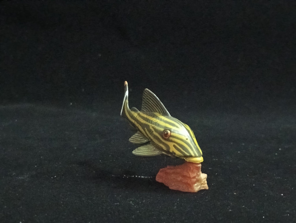 Miniature Chorydoras Sucker Fish Figurine - Furuta