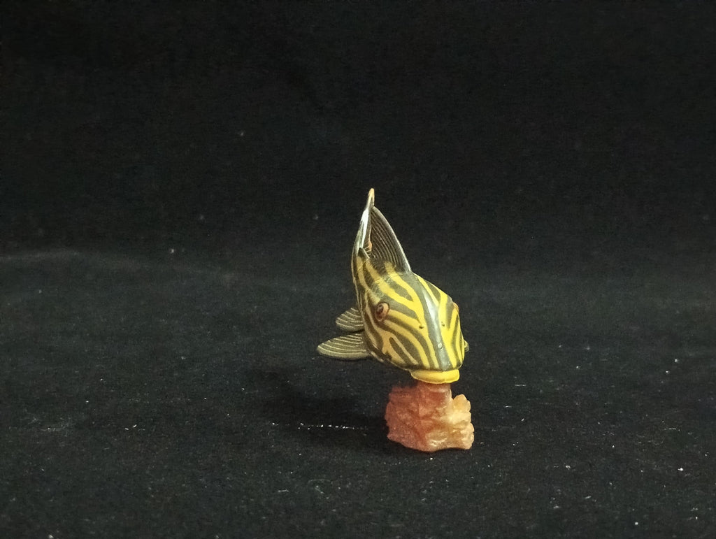 Miniature Chorydoras Sucker Fish Figurine - Furuta