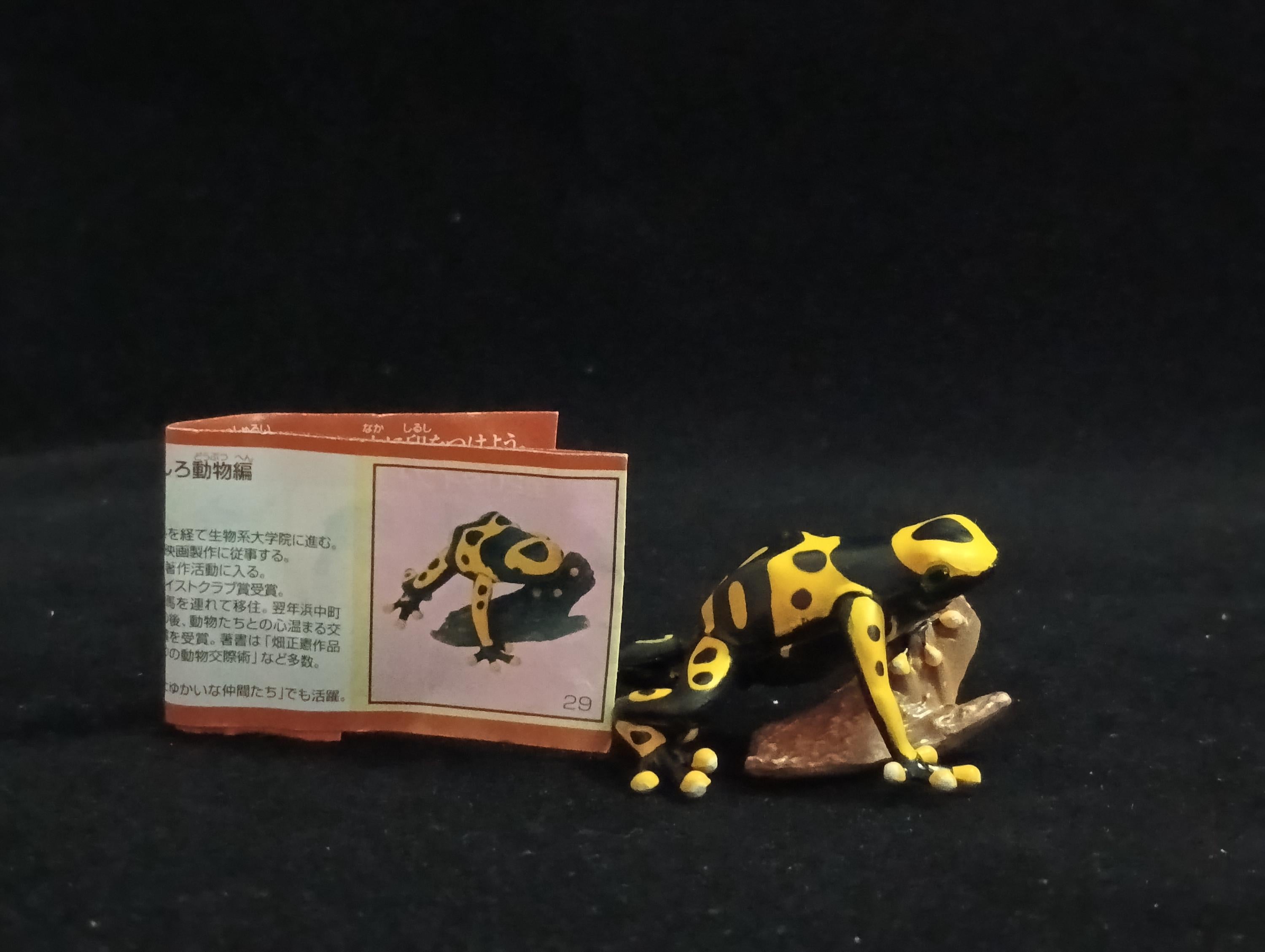 Miniature Poison Dart Frog Figurine - Furuta