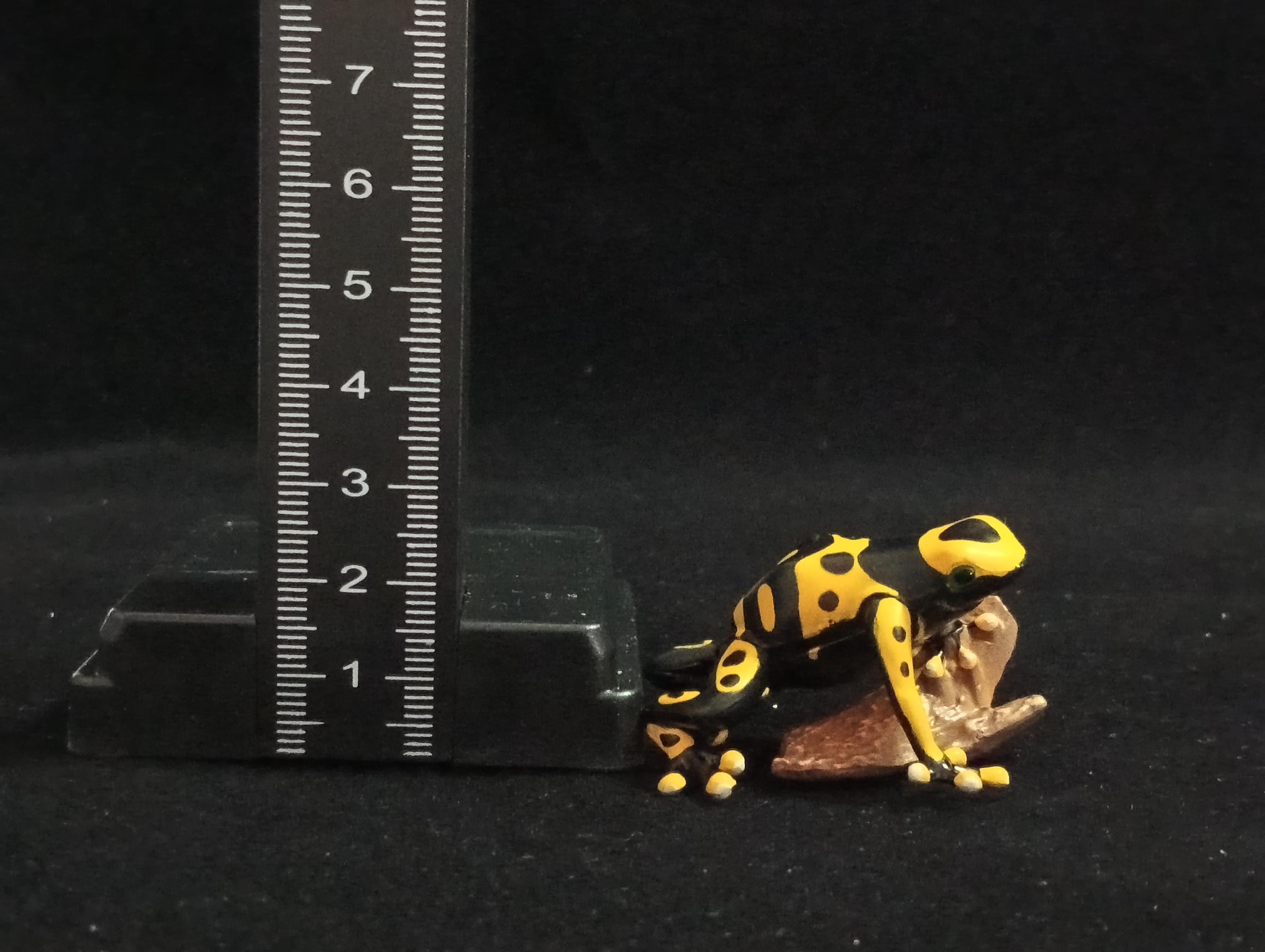 Miniature Poison Dart Frog Figurine - Furuta