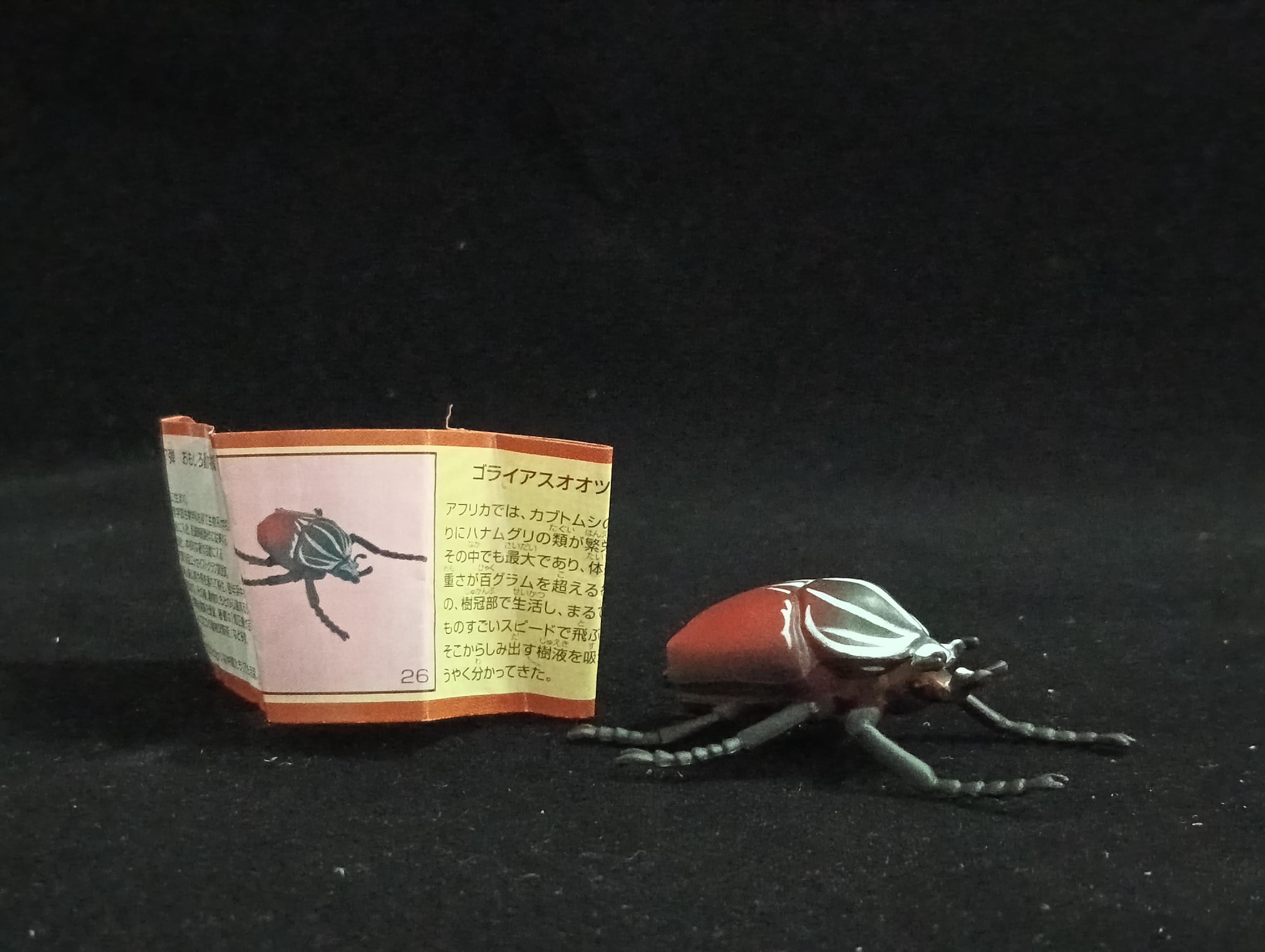 Miniature Goliath Beetle Figurine - Furuta