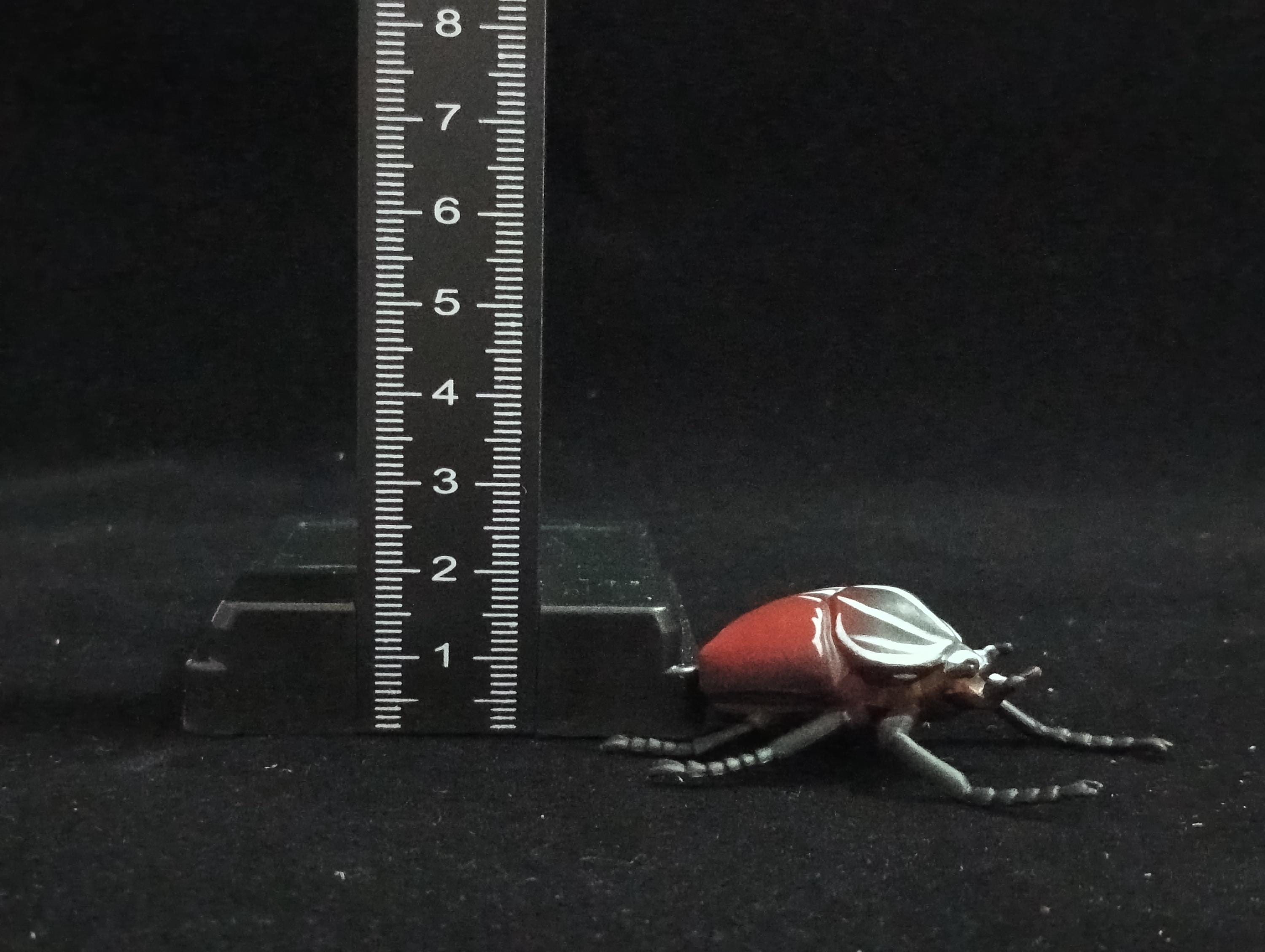 Miniature Goliath Beetle Figurine - Furuta