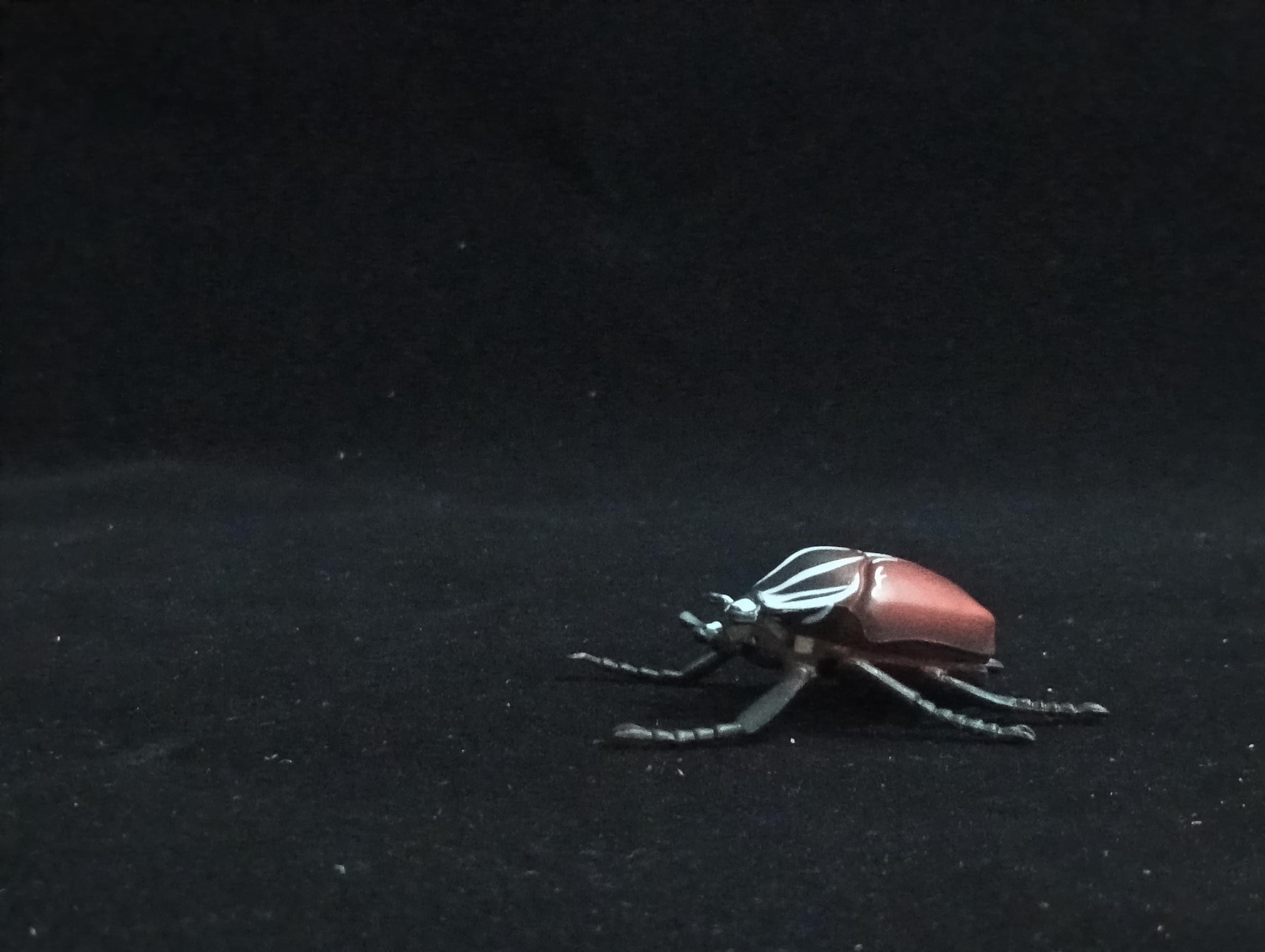 Miniature Goliath Beetle Figurine - Furuta