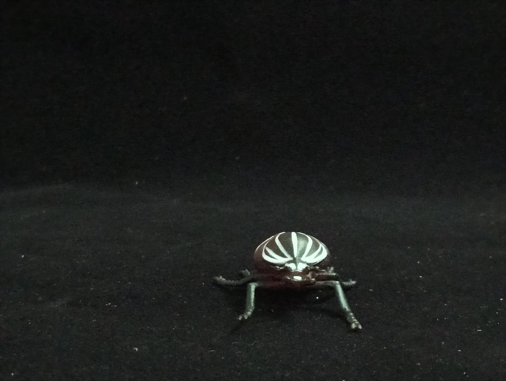 Miniature Goliath Beetle Figurine - Furuta