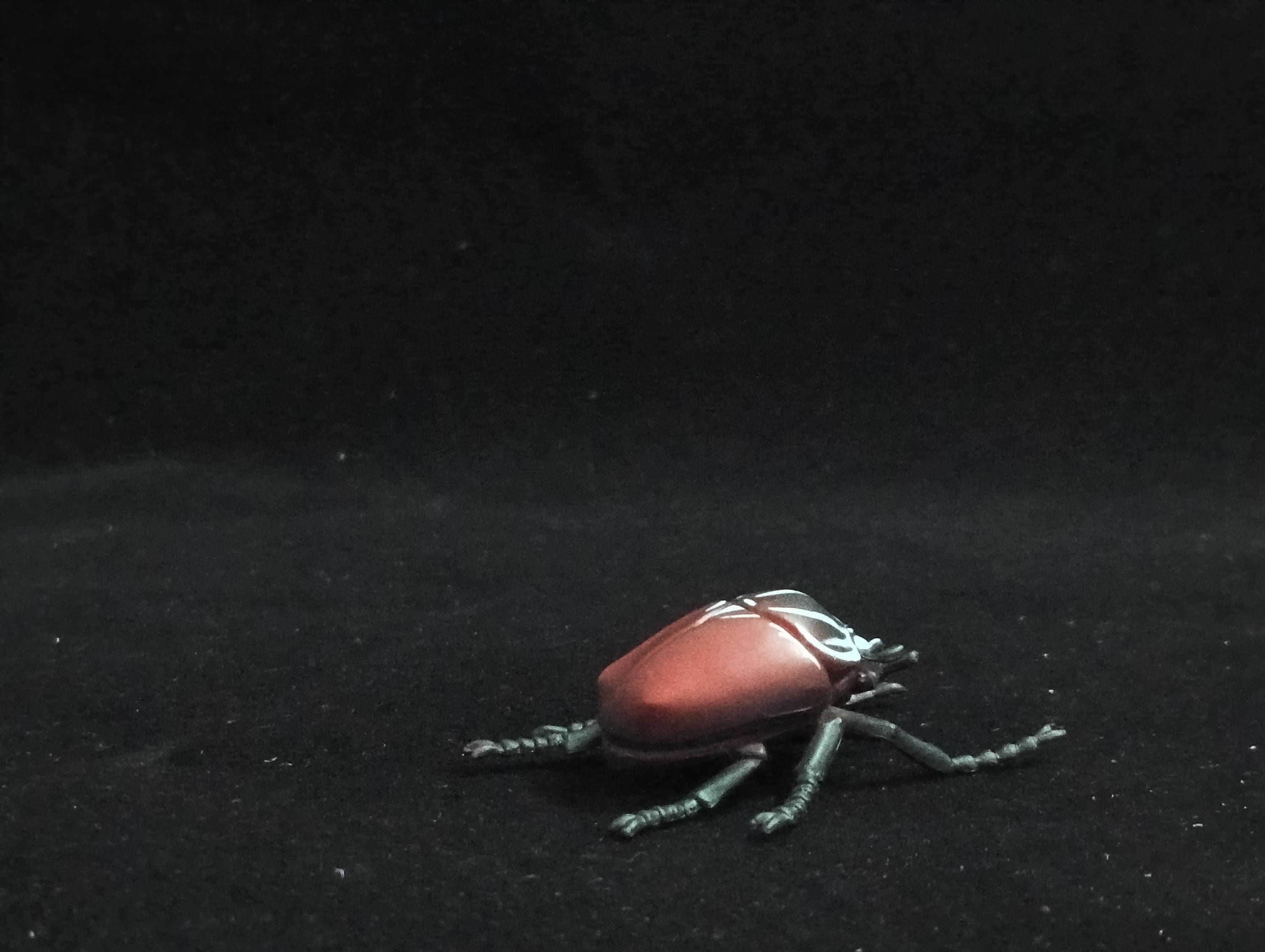 Miniature Goliath Beetle Figurine - Furuta