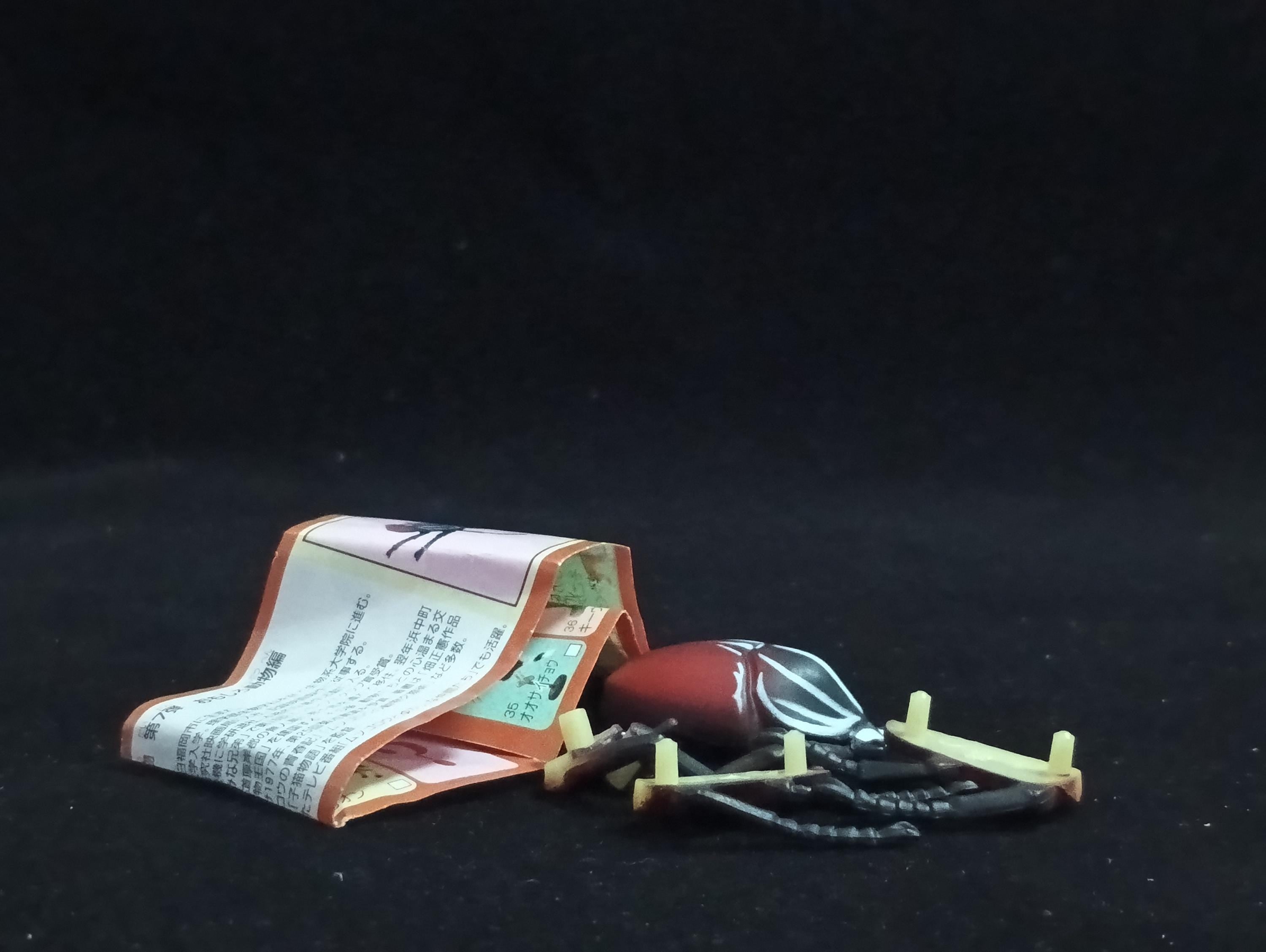 Miniature Goliath Beetle Figurine - Furuta