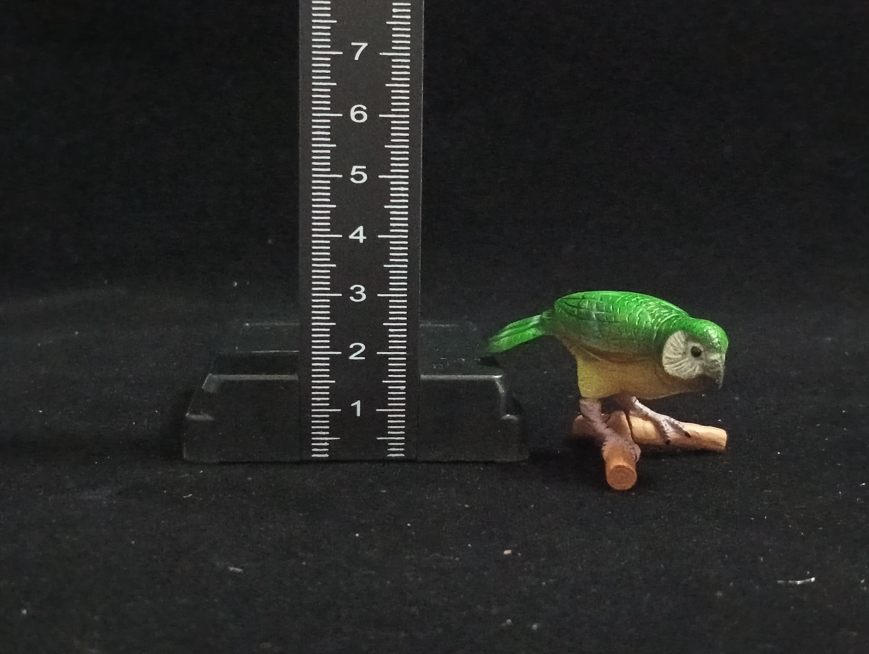 Miniature Senegal Parrot Figurine - Furuta