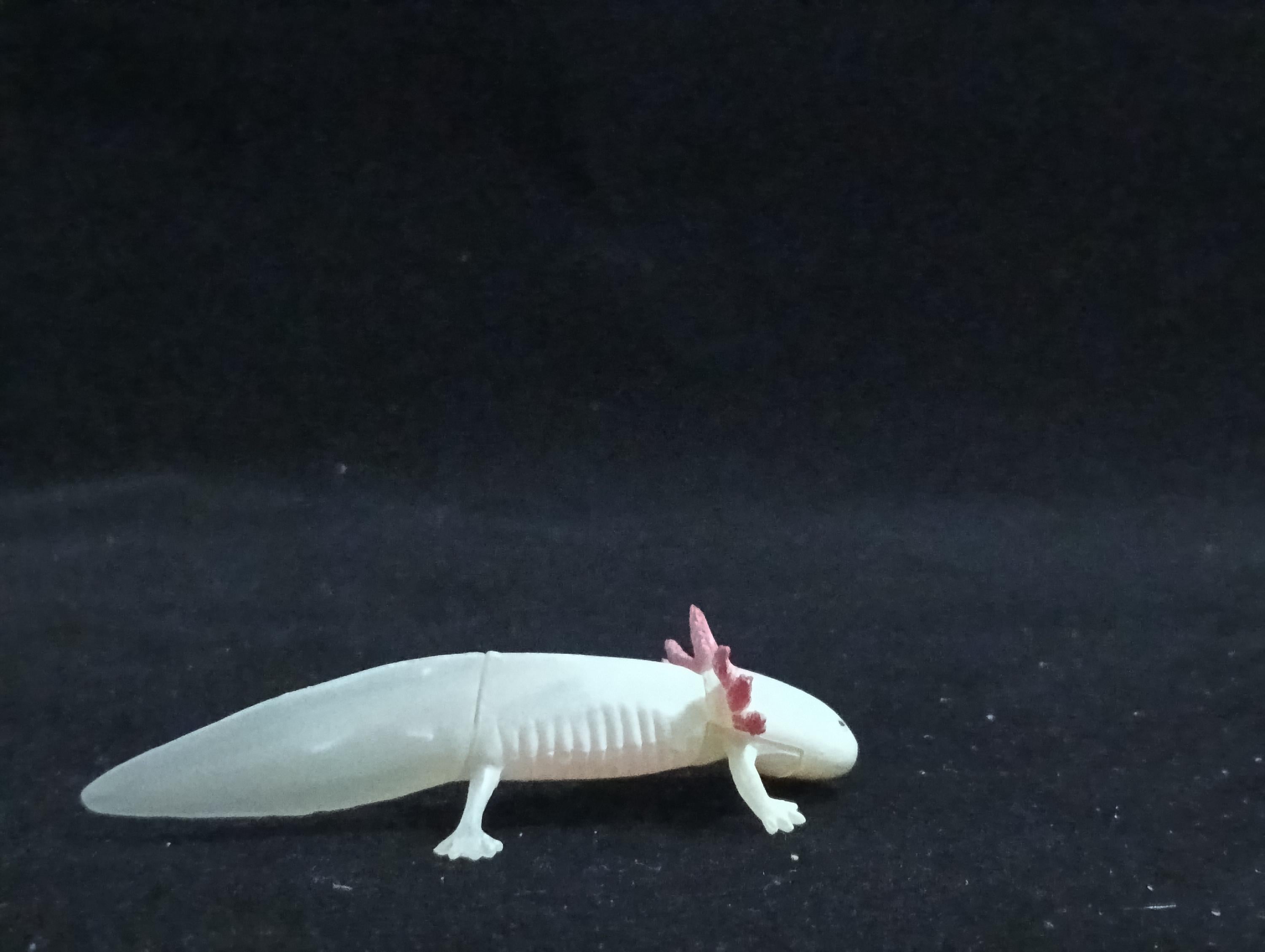 Miniature  Axolotl Salamander Figurine - Furuta Secret Item