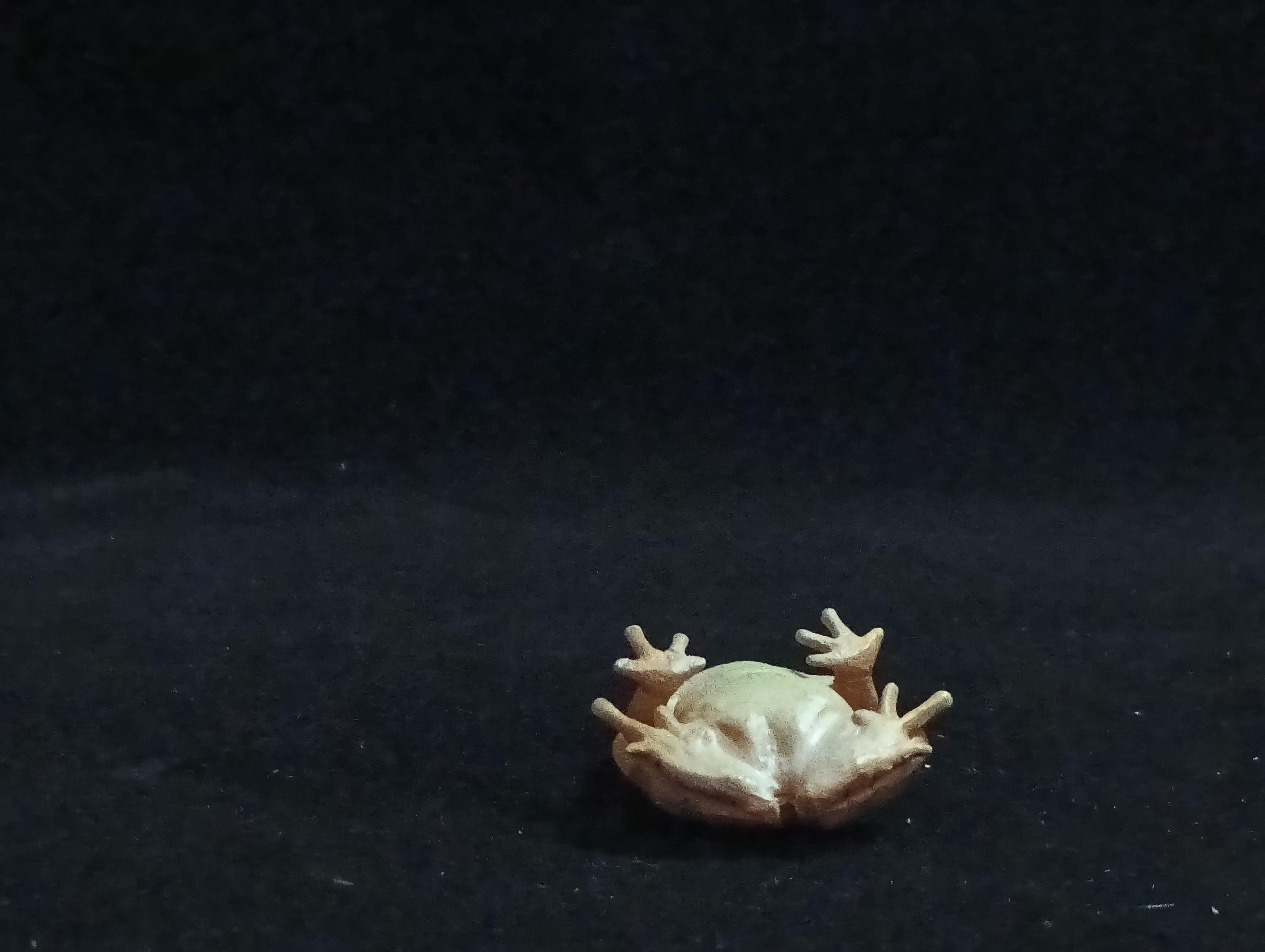 Miniature Three-horned frog Figurine - Furuta