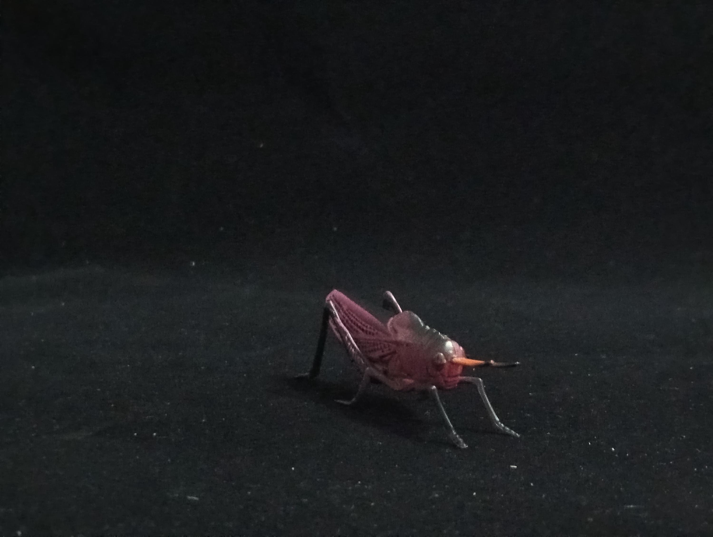 Miniature Purple Grasshopper Figurine - Furuta