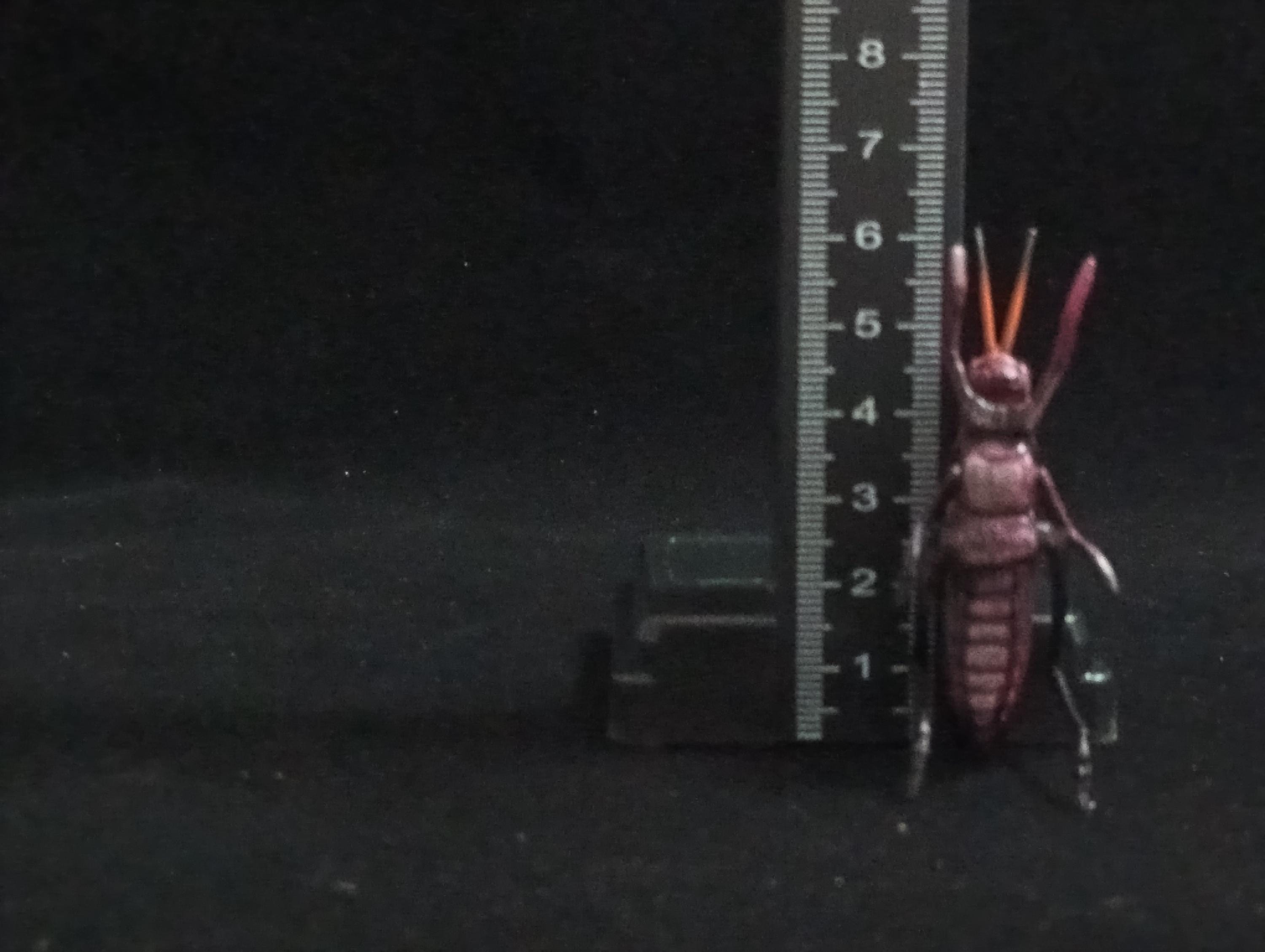 Miniature Purple Grasshopper Figurine - Furuta