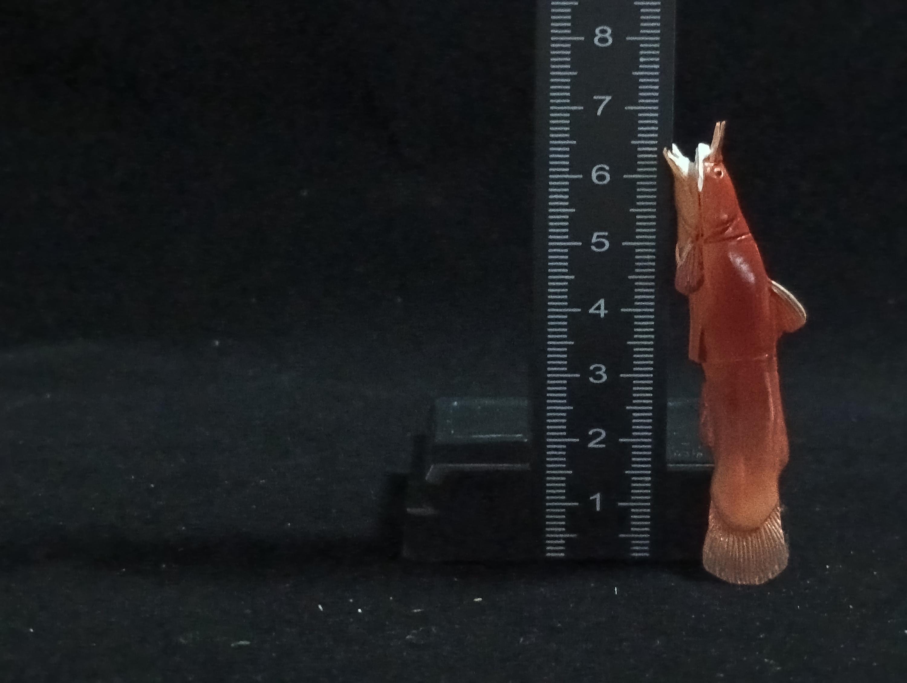 Miniature Clarias cavernicola Figurine - Furuta