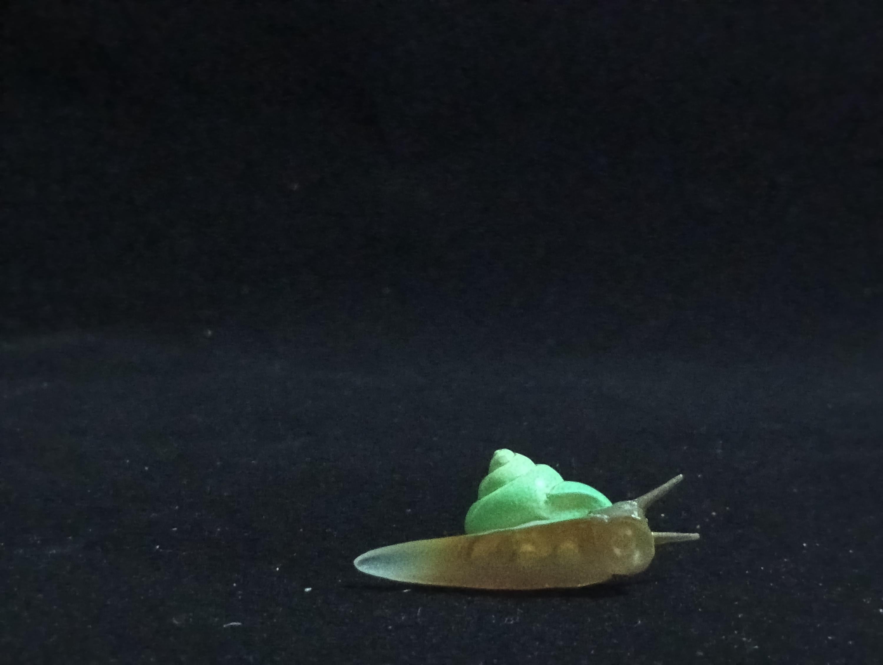 Miniature Green-spotted snail Figurine - Furuta