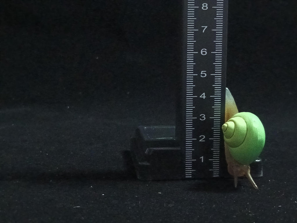Miniature Green-spotted snail Figurine - Furuta