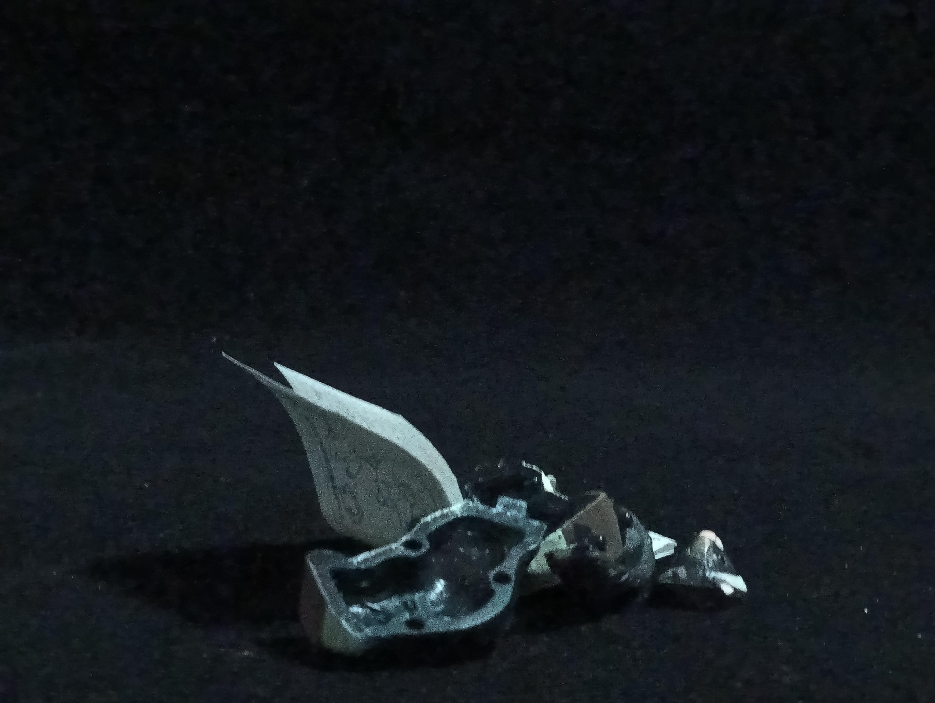 Miniature Flying squirrel Figurine - Furuta