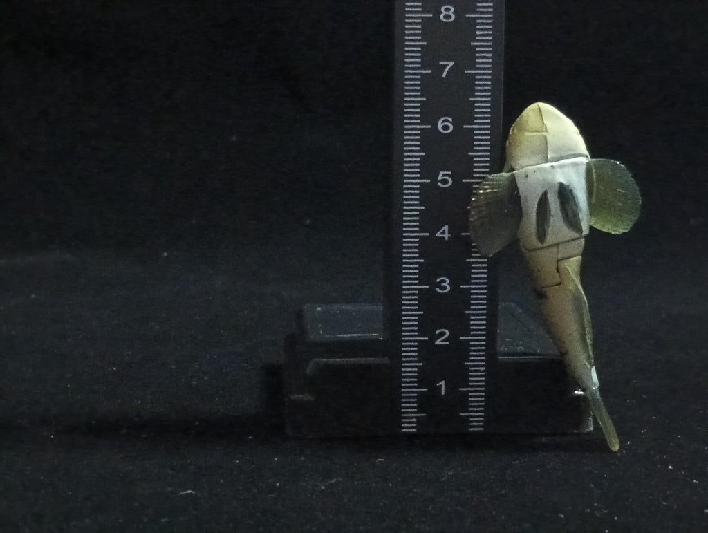 Miniature FOURSPINE SCULPIN fish Figurine - Furuta