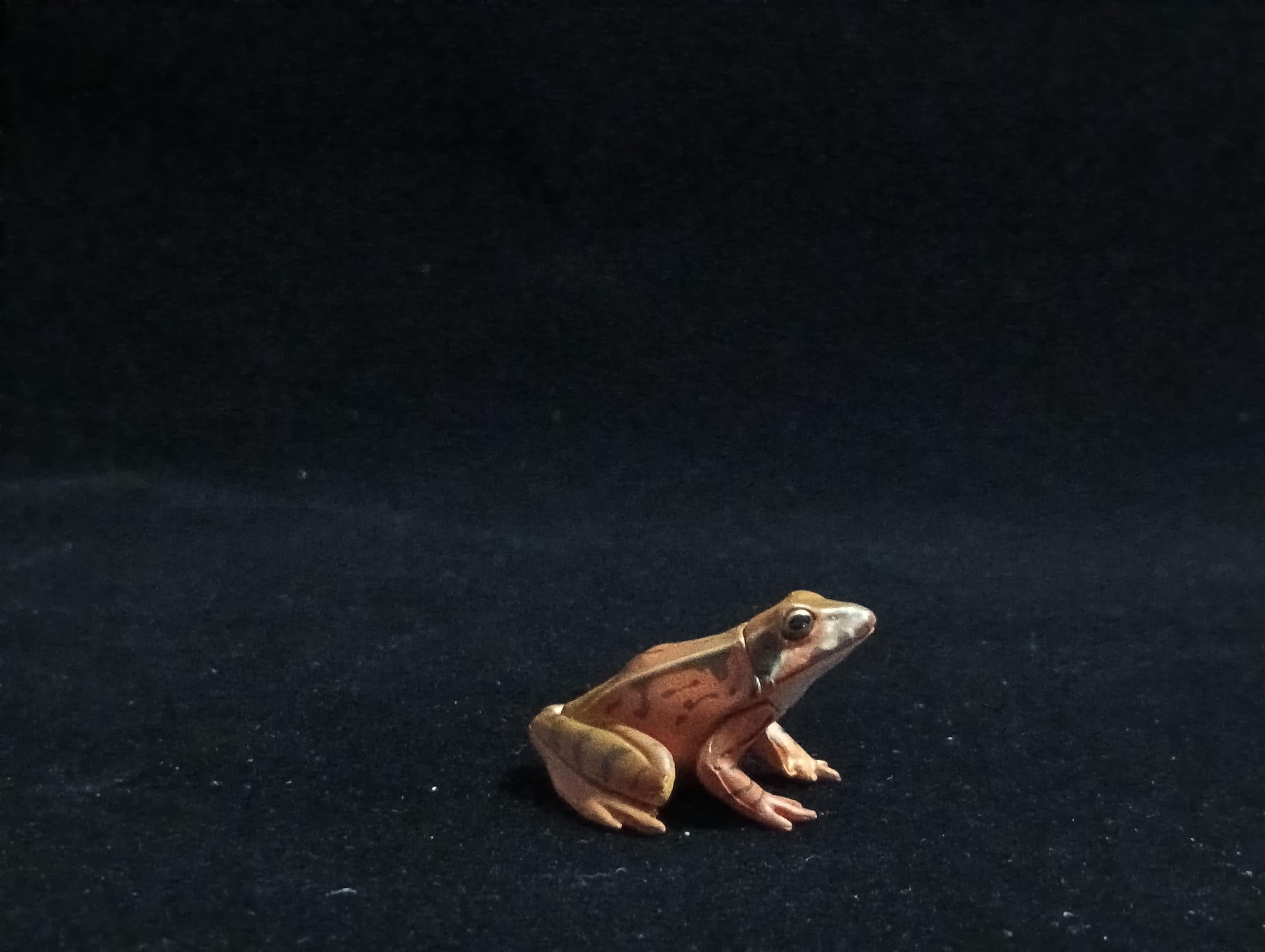 Miniature Miyako Toad Figurine - Furuta