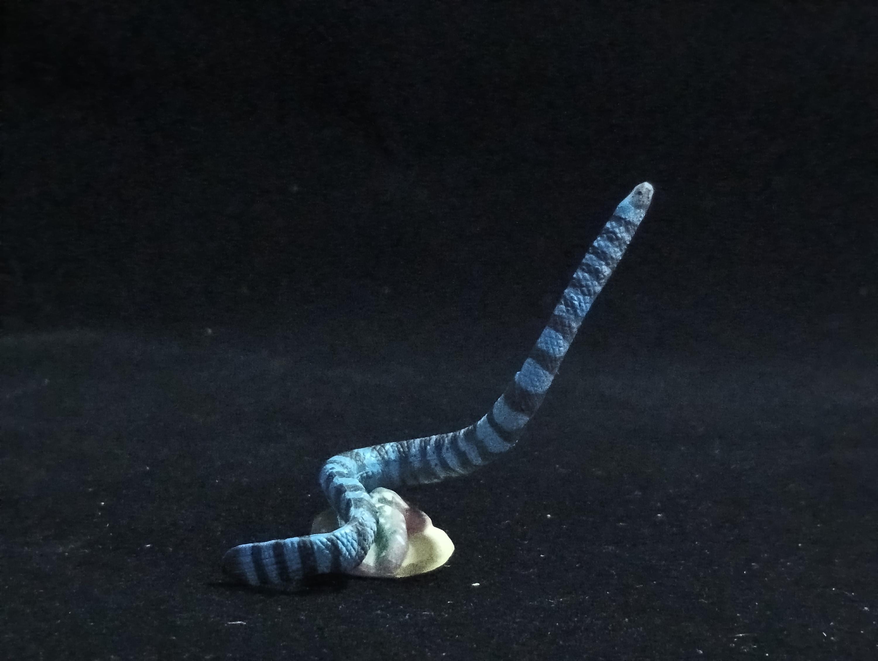 Miniature Erabu sea snake Figurine - Furuta