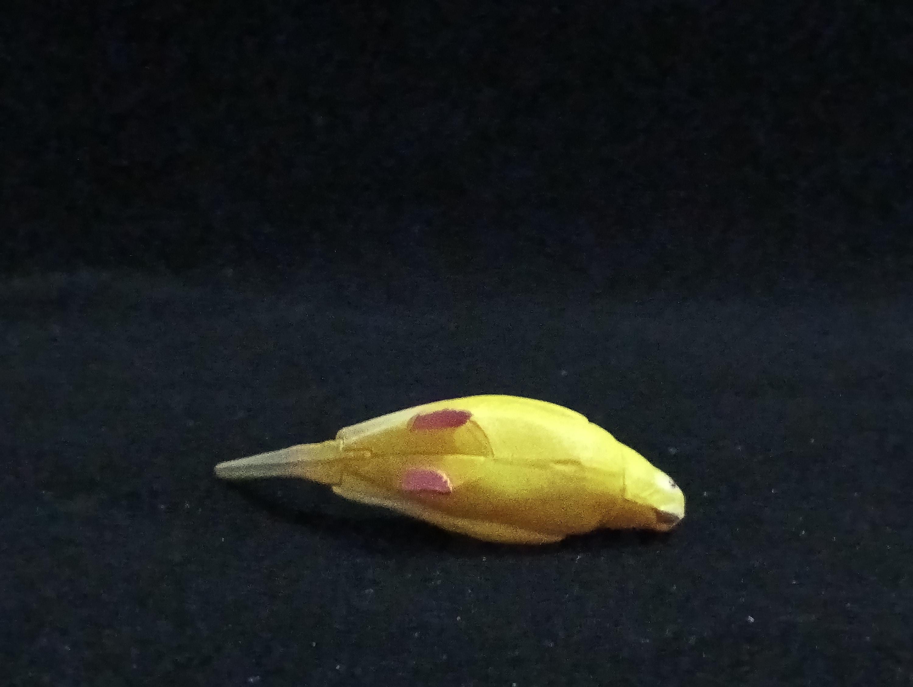 Miniature Budgerigar(Yellow) Figurine - Furuta