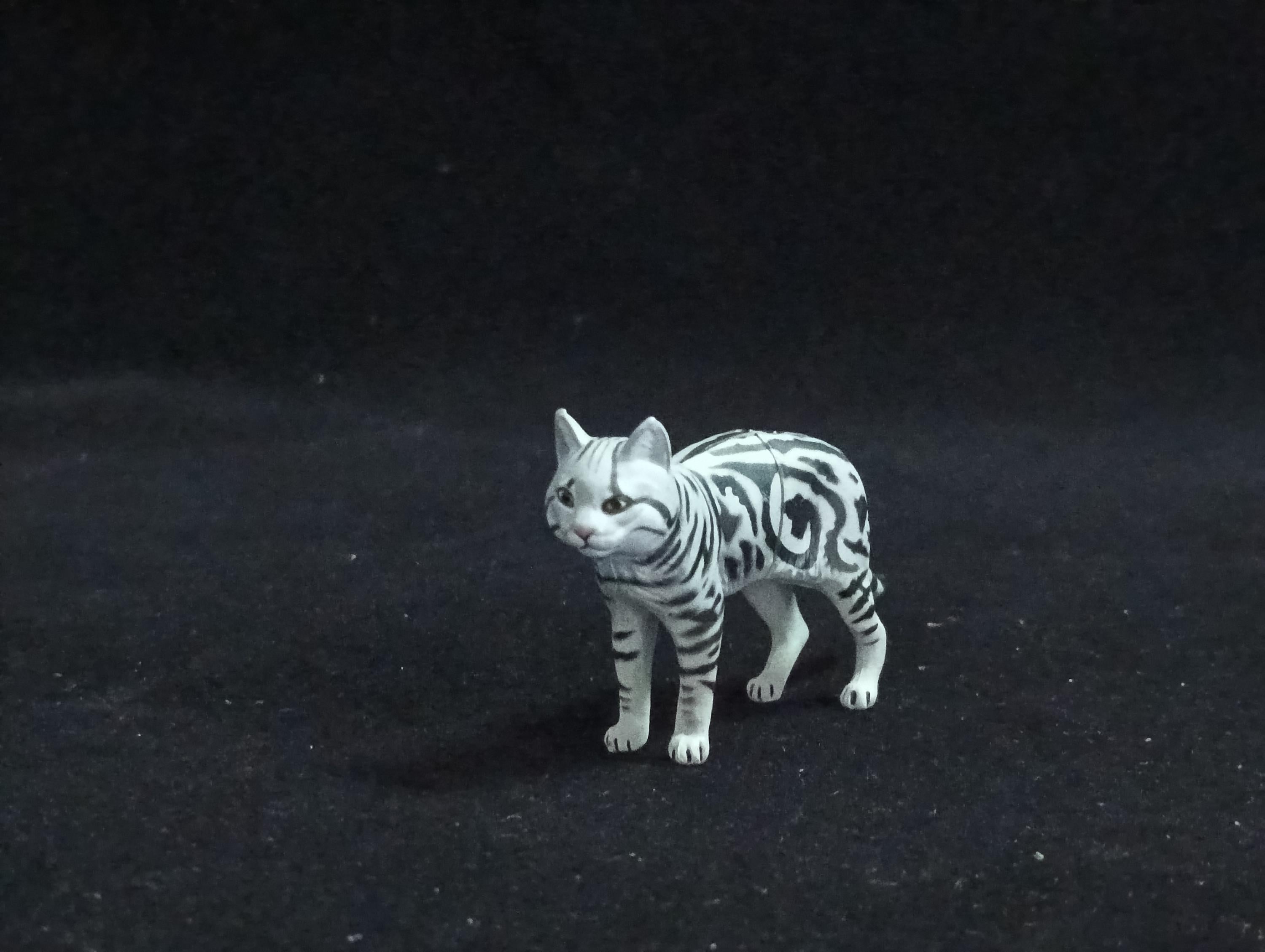Miniature American Shorthair cat Figurine - Furuta