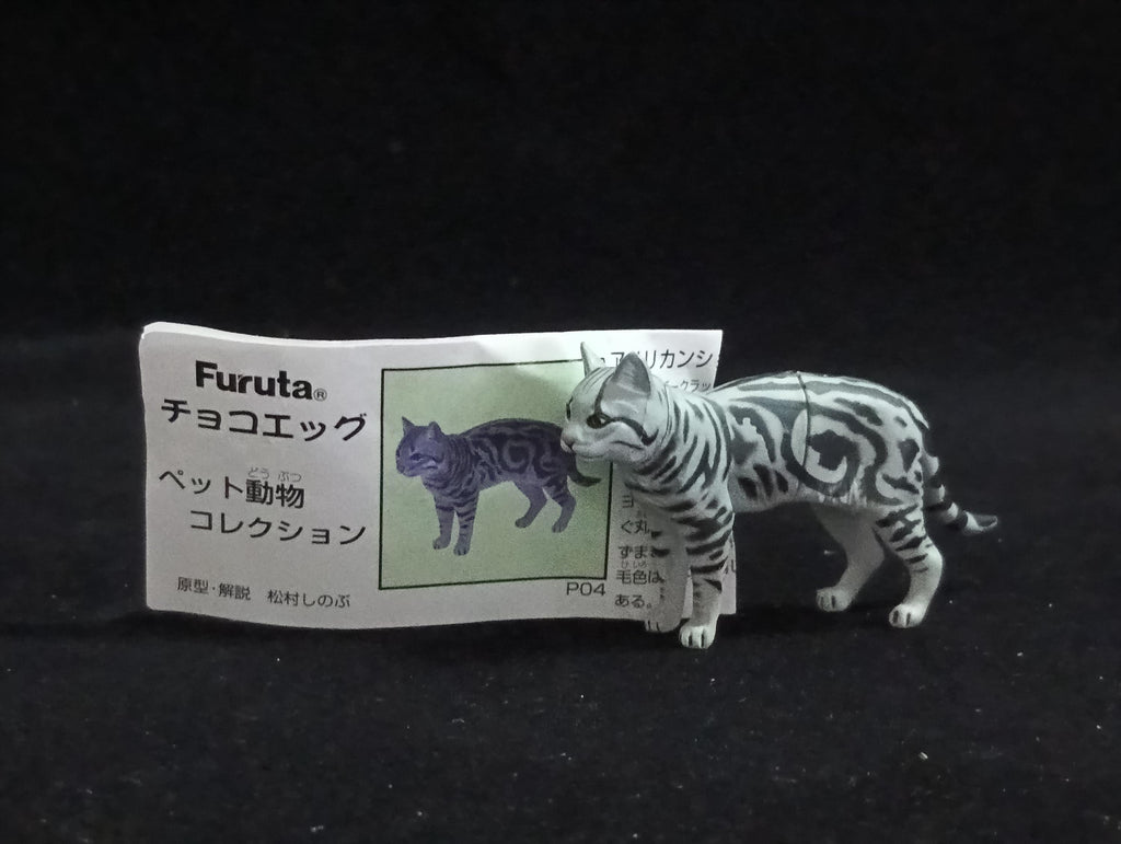 Miniature American Shorthair cat Figurine - Furuta