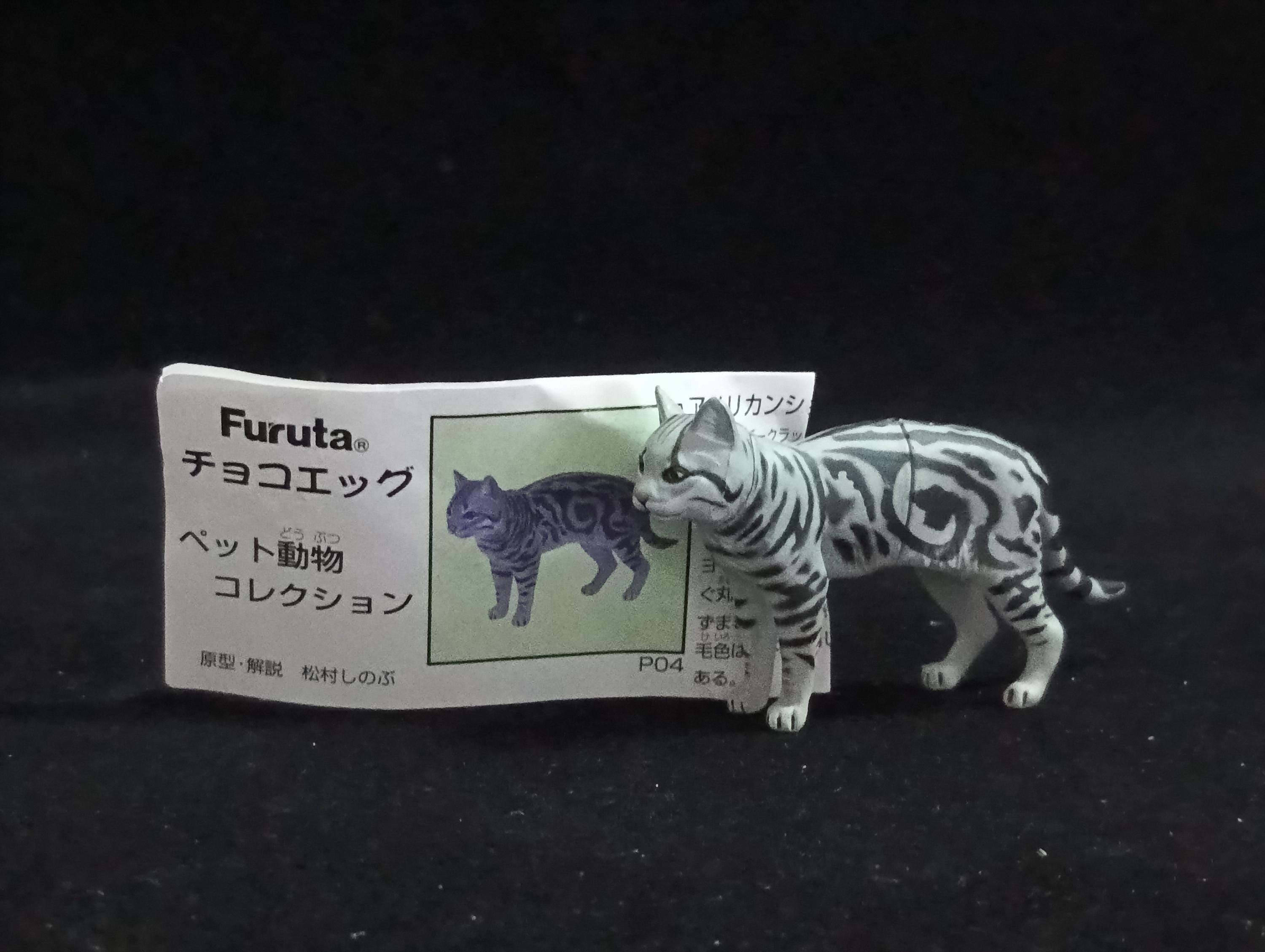 Miniature American Shorthair cat Figurine - Furuta