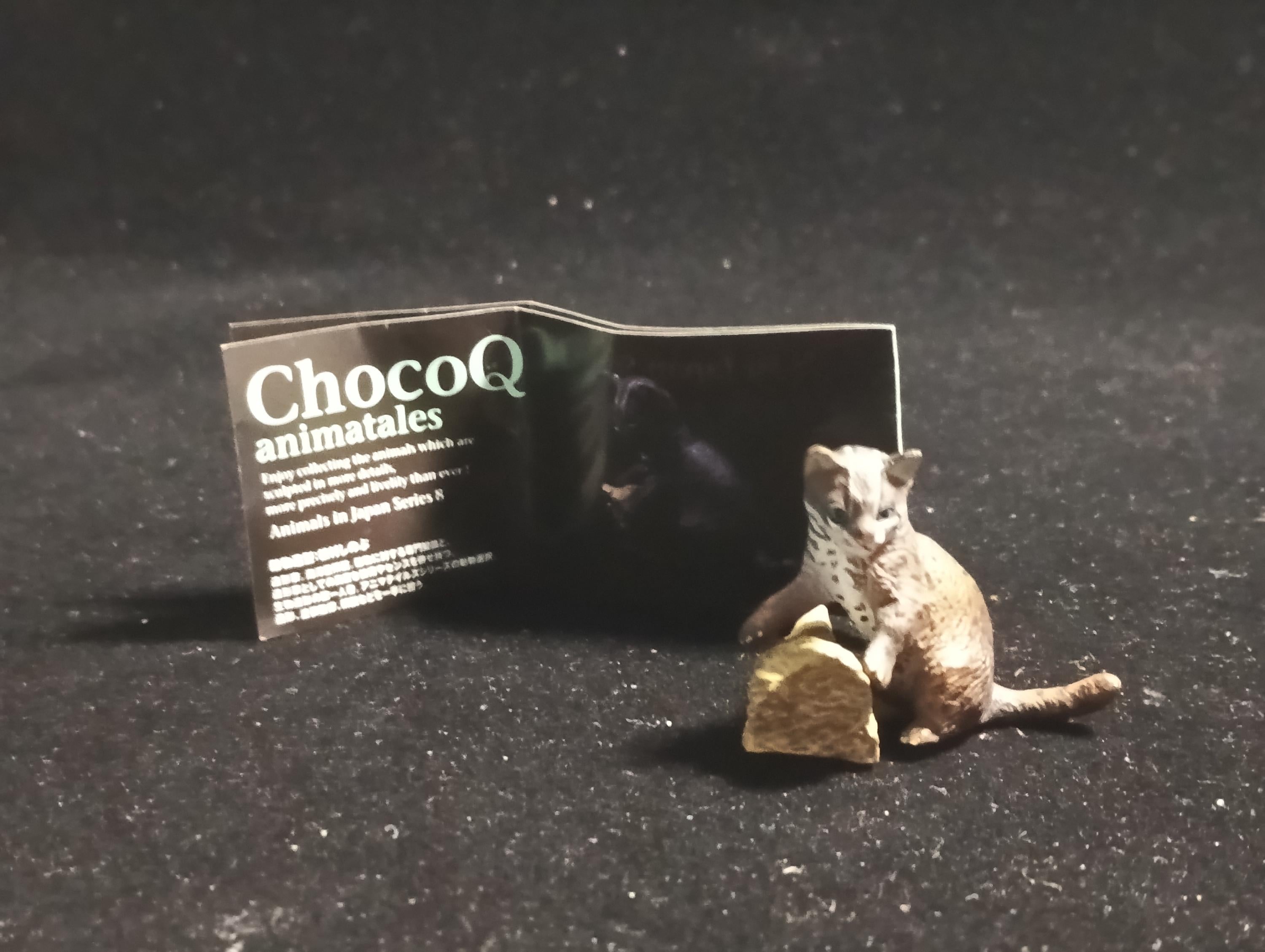 Kaiyodo ChocoQ Animatales Series 8 Baby Iriomote wildcat Cat (B)