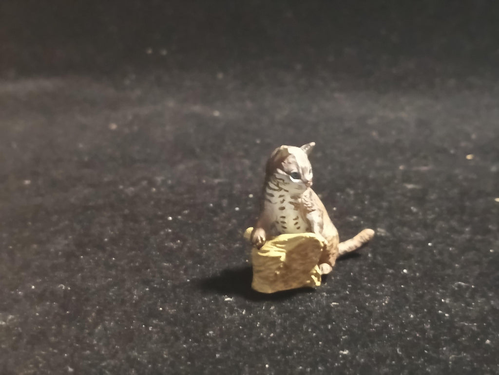 Kaiyodo ChocoQ Animatales Series 8 Baby Iriomote wildcat Cat (B)