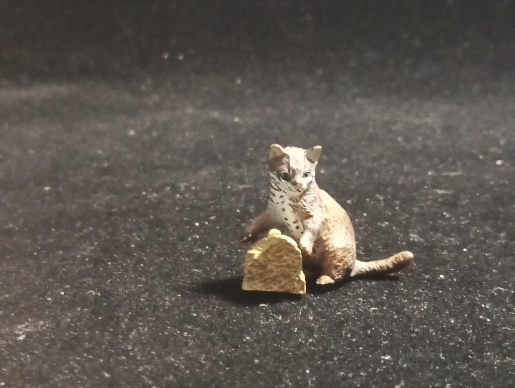 Kaiyodo ChocoQ Animatales Series 8 Baby Iriomote wildcat Cat (B)