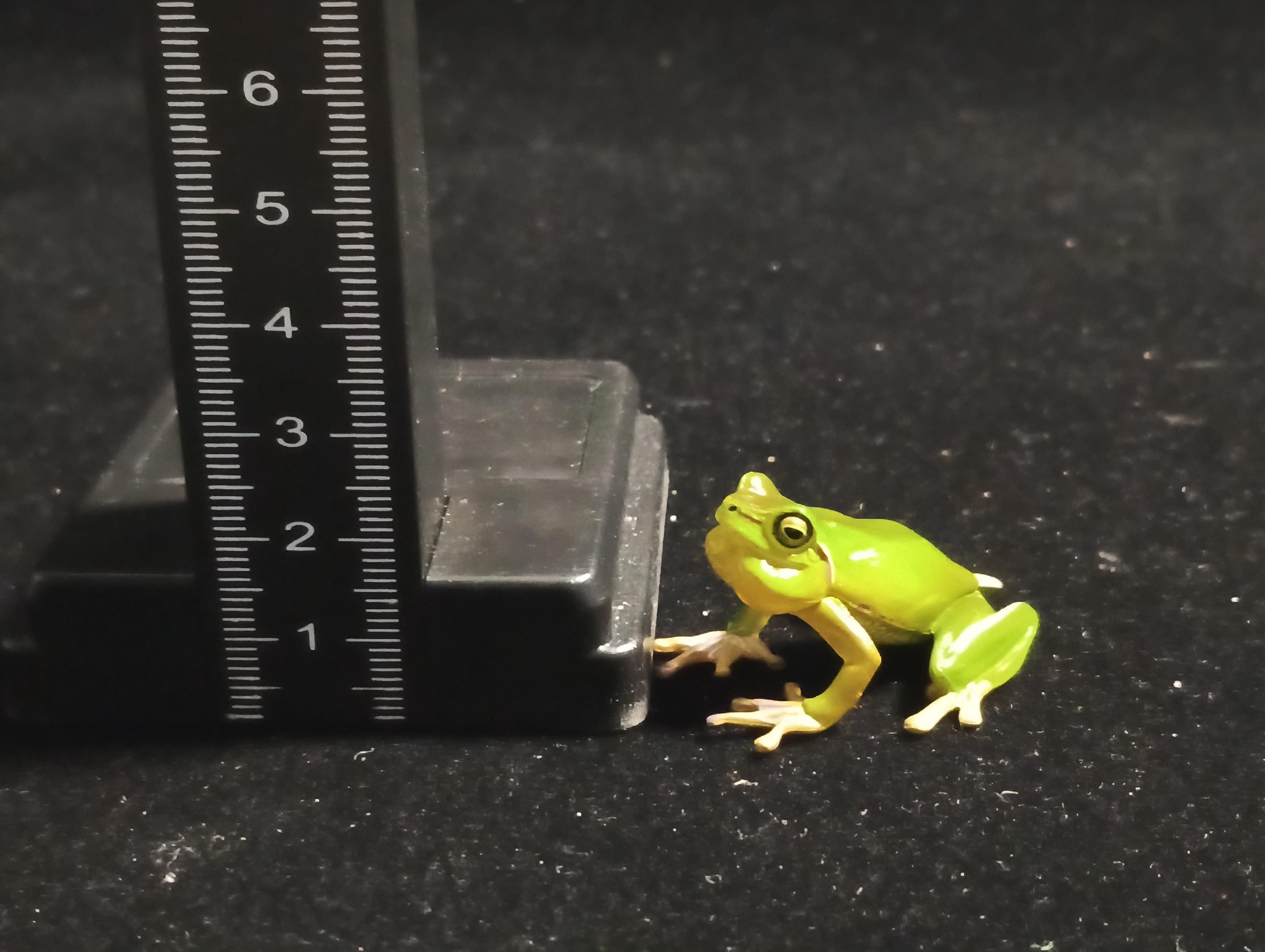 Kaiyodo Animatales Choco Q Special Edition Series Hallowell's Green Tree frog