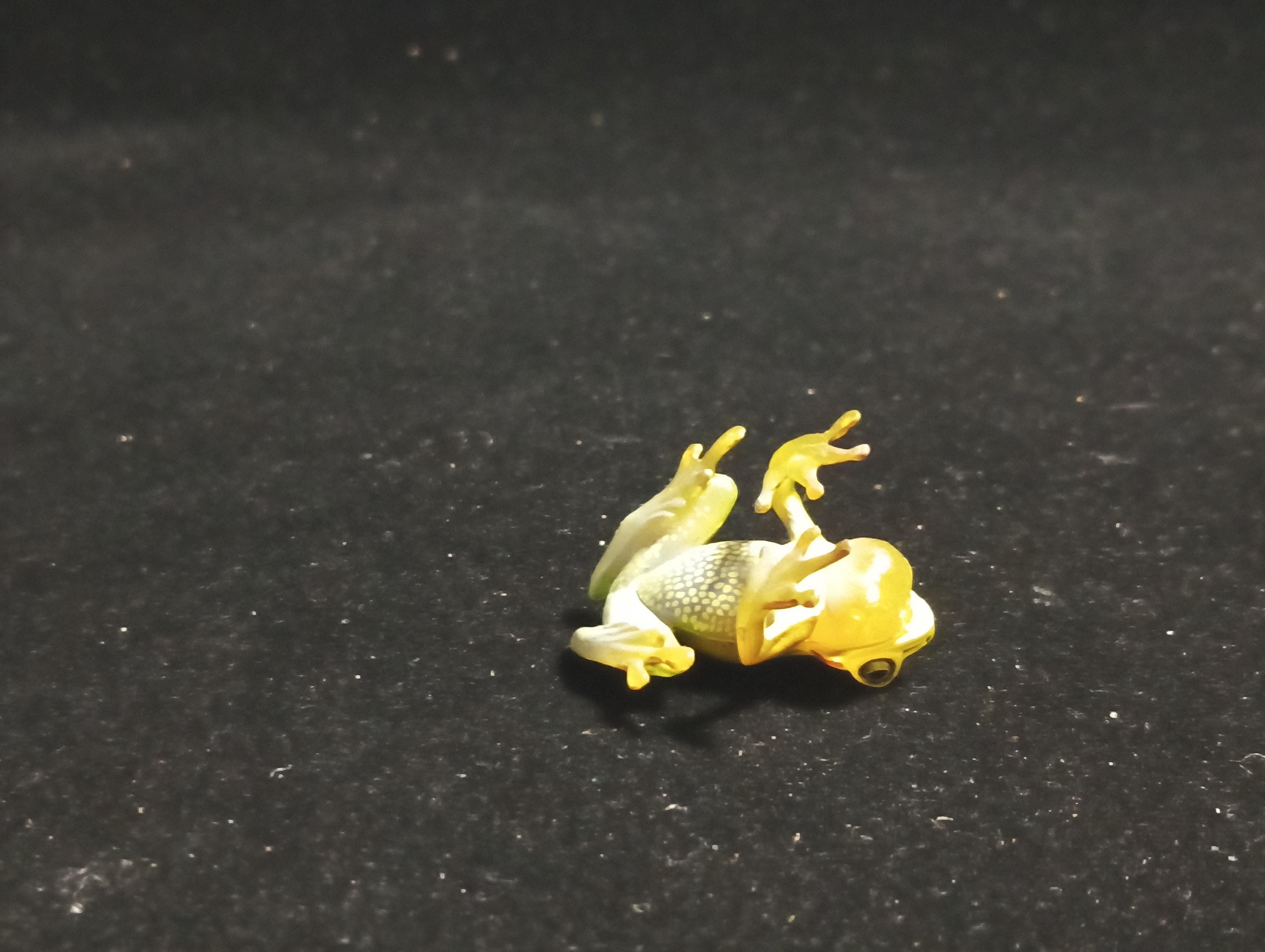 Kaiyodo Animatales Choco Q Special Edition Series Hallowell's Green Tree frog