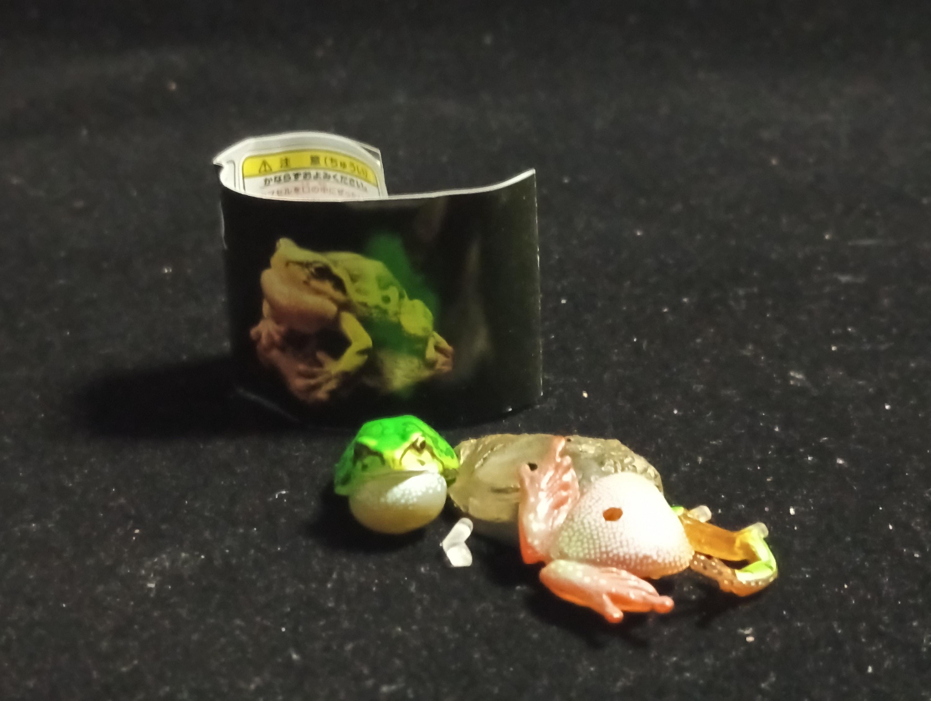 Kaiyodo Animatales Choco Q Series 11 Japanese tree frog (B)
