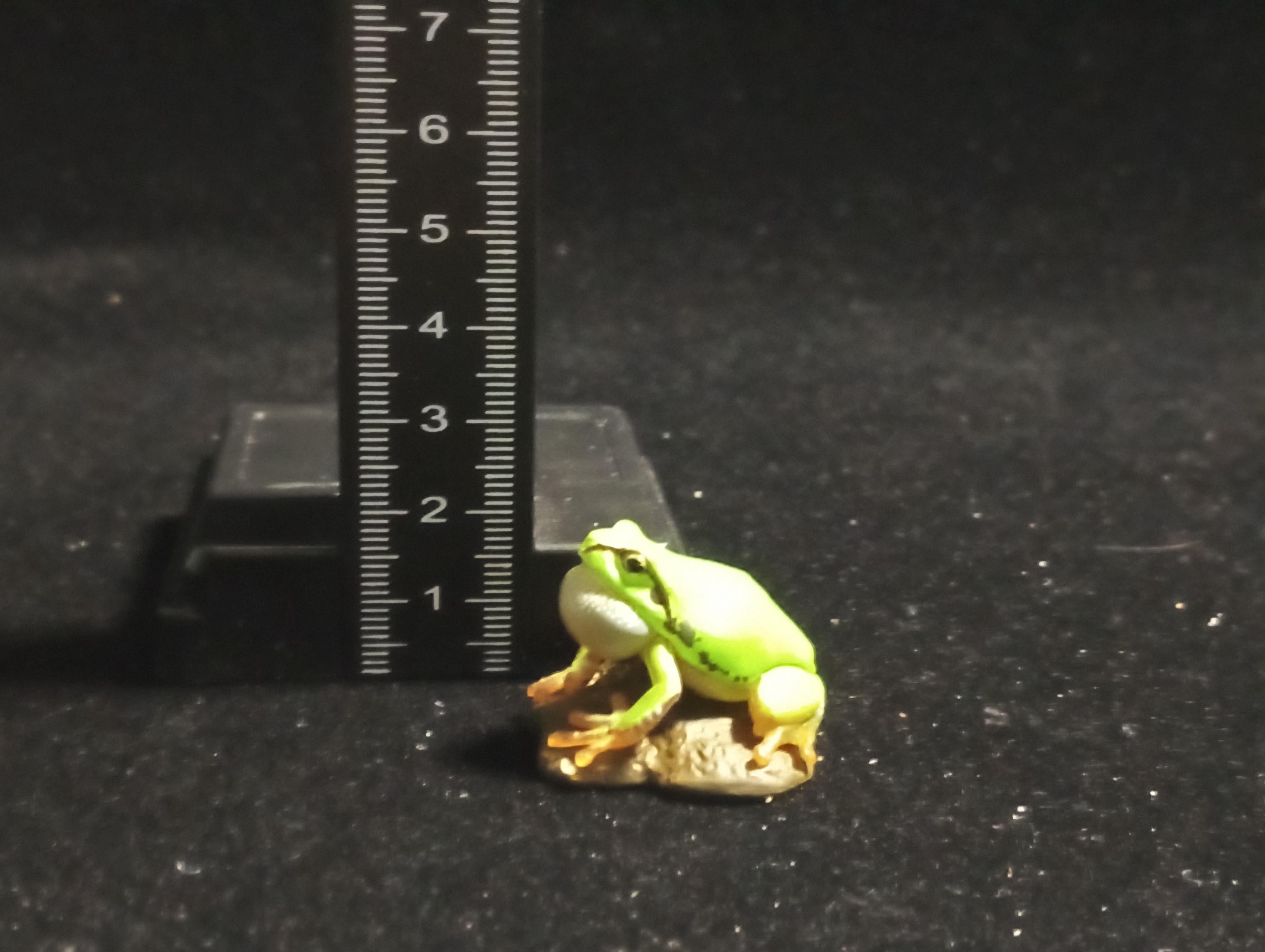 Kaiyodo Animatales Choco Q Series 11 Hallowell's Green Tree frog normal color (A)