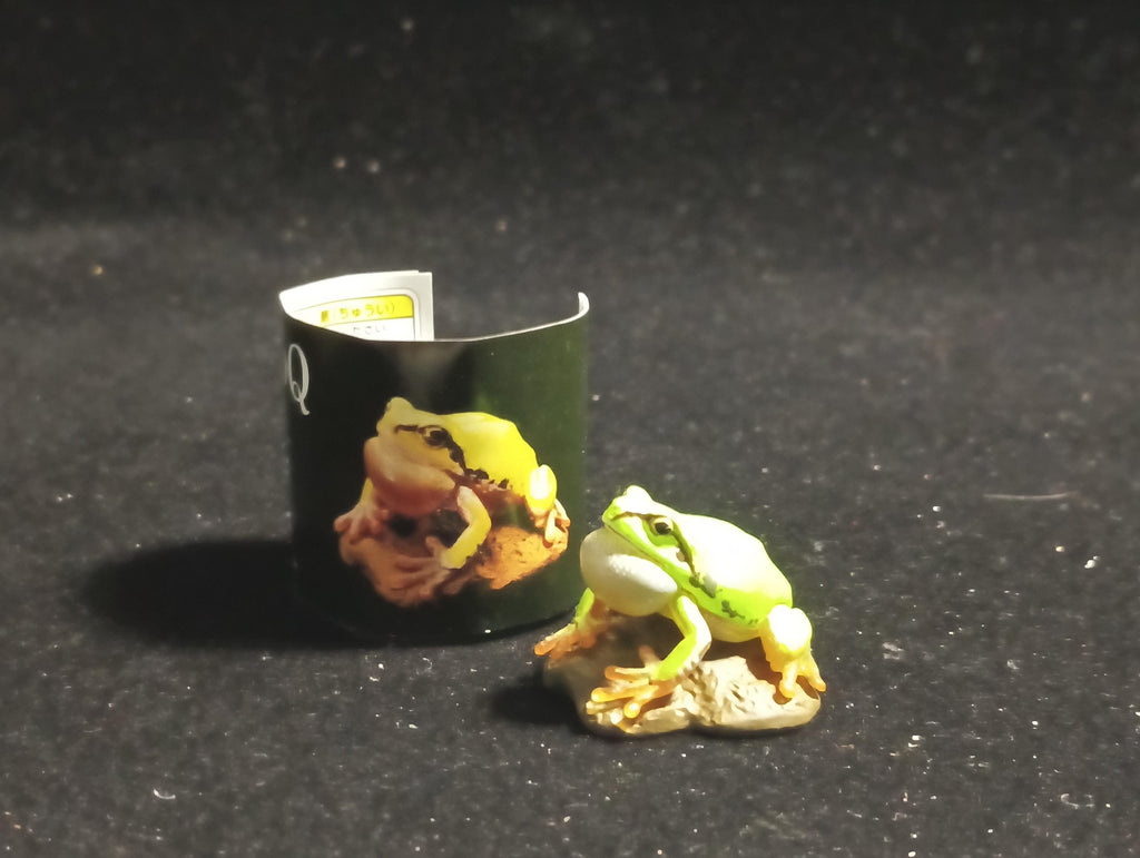 Kaiyodo Animatales Choco Q Series 11 Hallowell's Green Tree frog normal color (A)