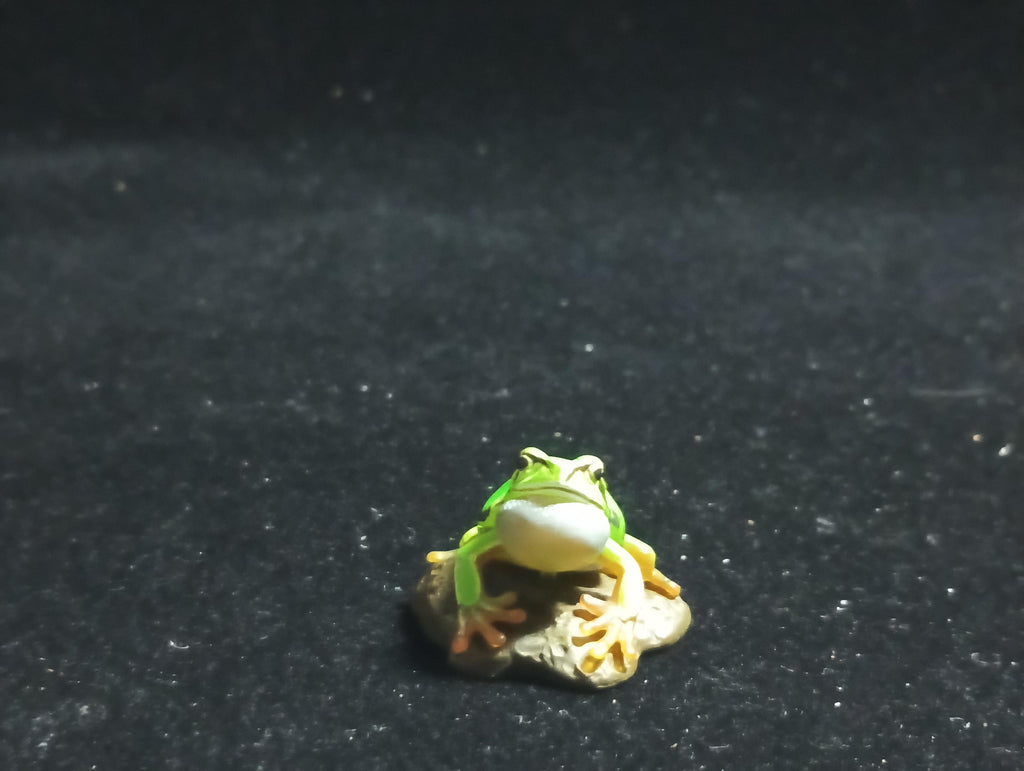 Kaiyodo Animatales Choco Q Series 11 Hallowell's Green Tree frog normal color (A)