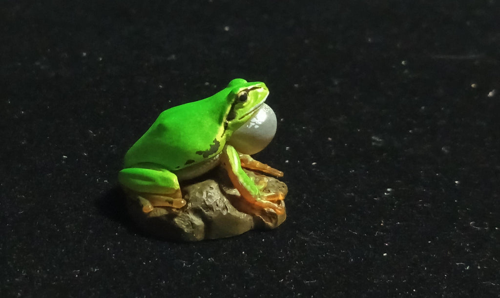 Kaiyodo Animatales Choco Q Series 11 Hallowell's Green Tree frog normal color (A)