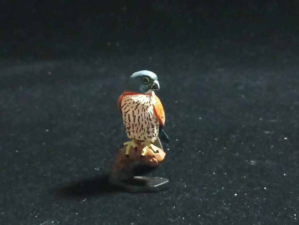 Kaiyodo Animatales Choco Q Series 11 Falco tinnunculus