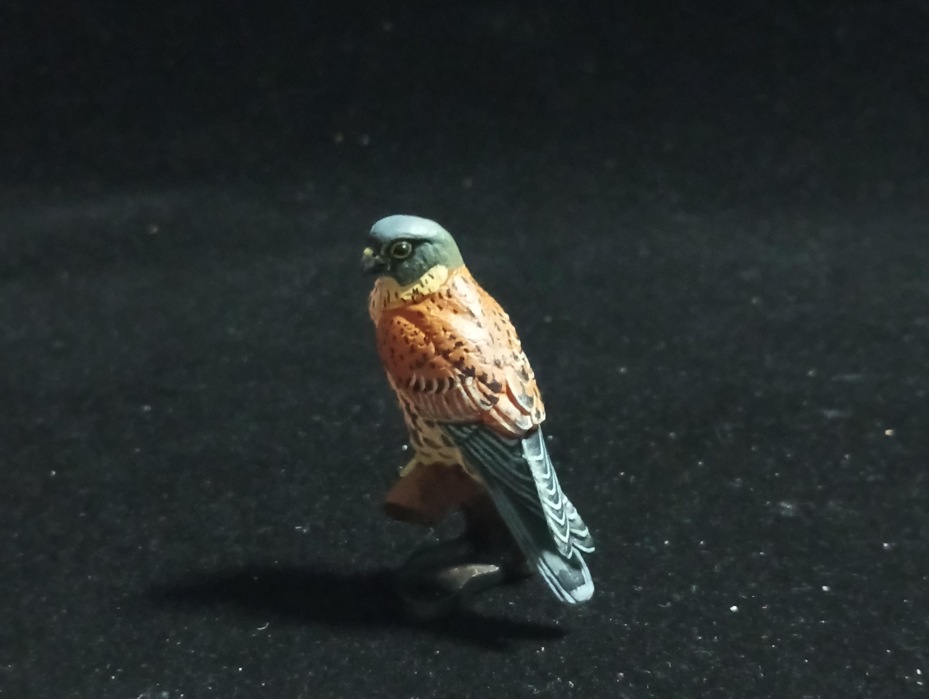 Kaiyodo Animatales Choco Q Series 11 Falco tinnunculus