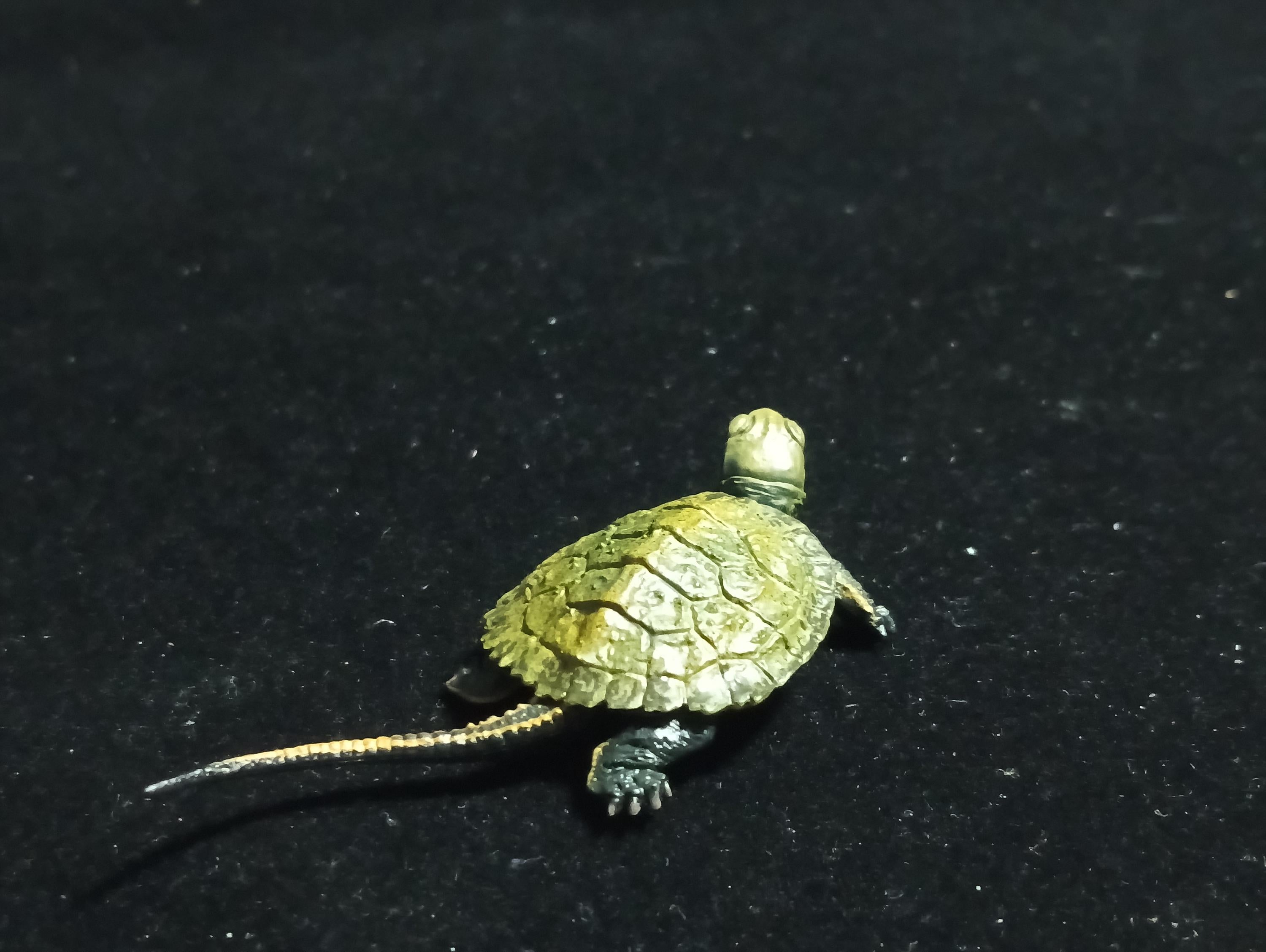 Kaiyodo Animatales Choco Q Series 11 Japanese pond turtle