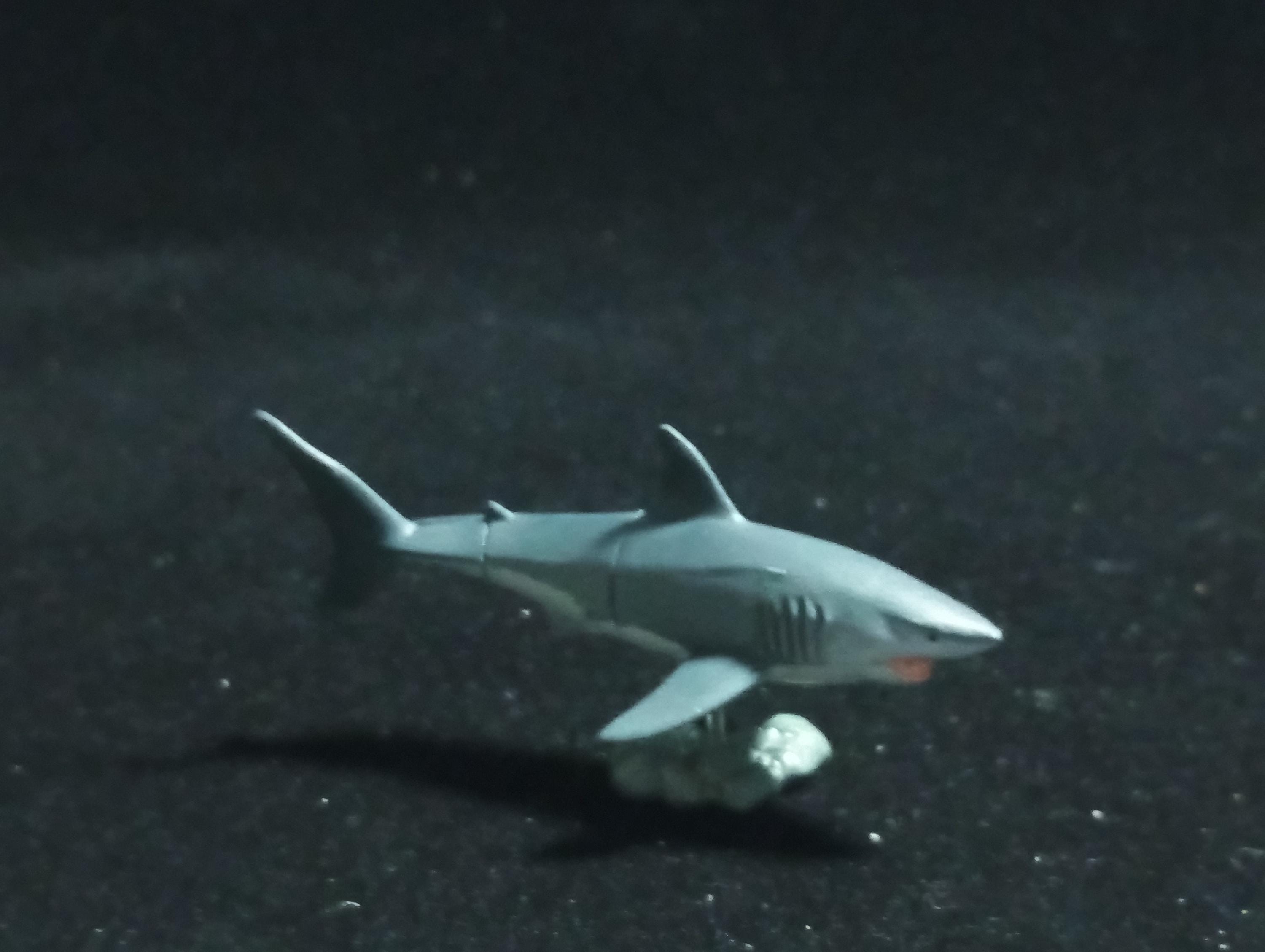 Kaiyodo Animatales Choco Q Series 11 Great white shark
