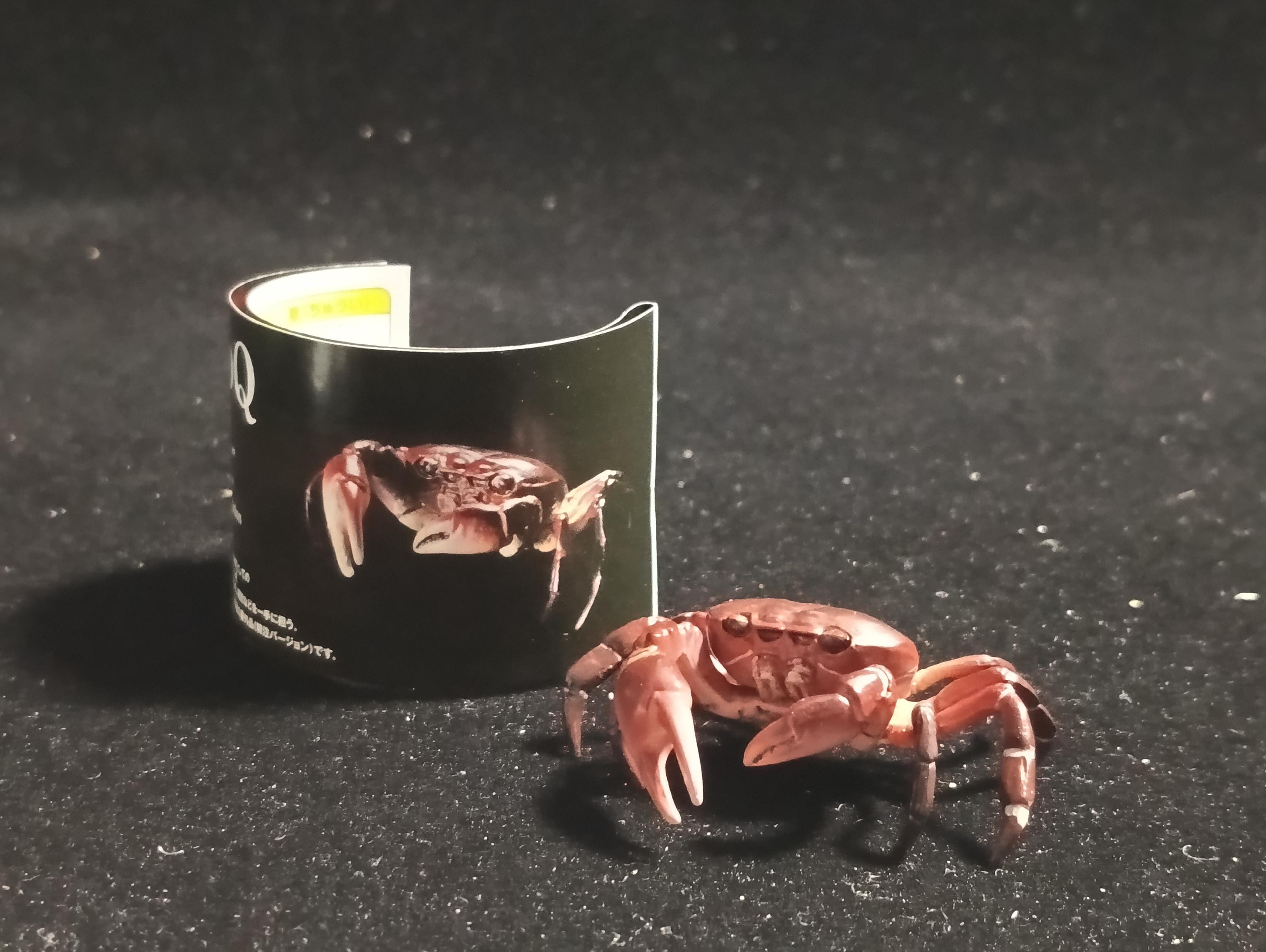 Kaiyodo Animatales Choco Q Special Edition Red Crab